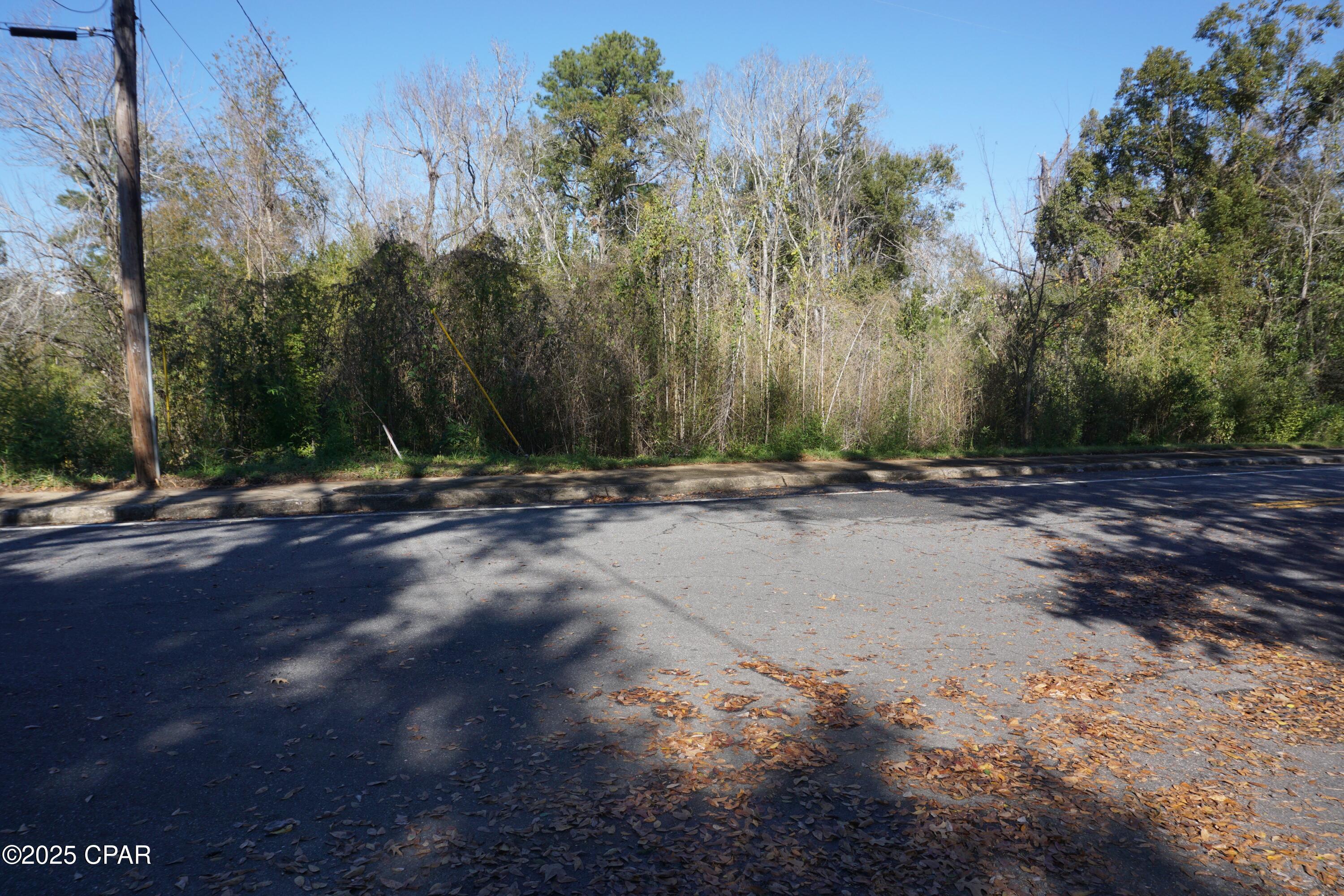 121 Hickory Street, Chattahoochee, Florida image 2