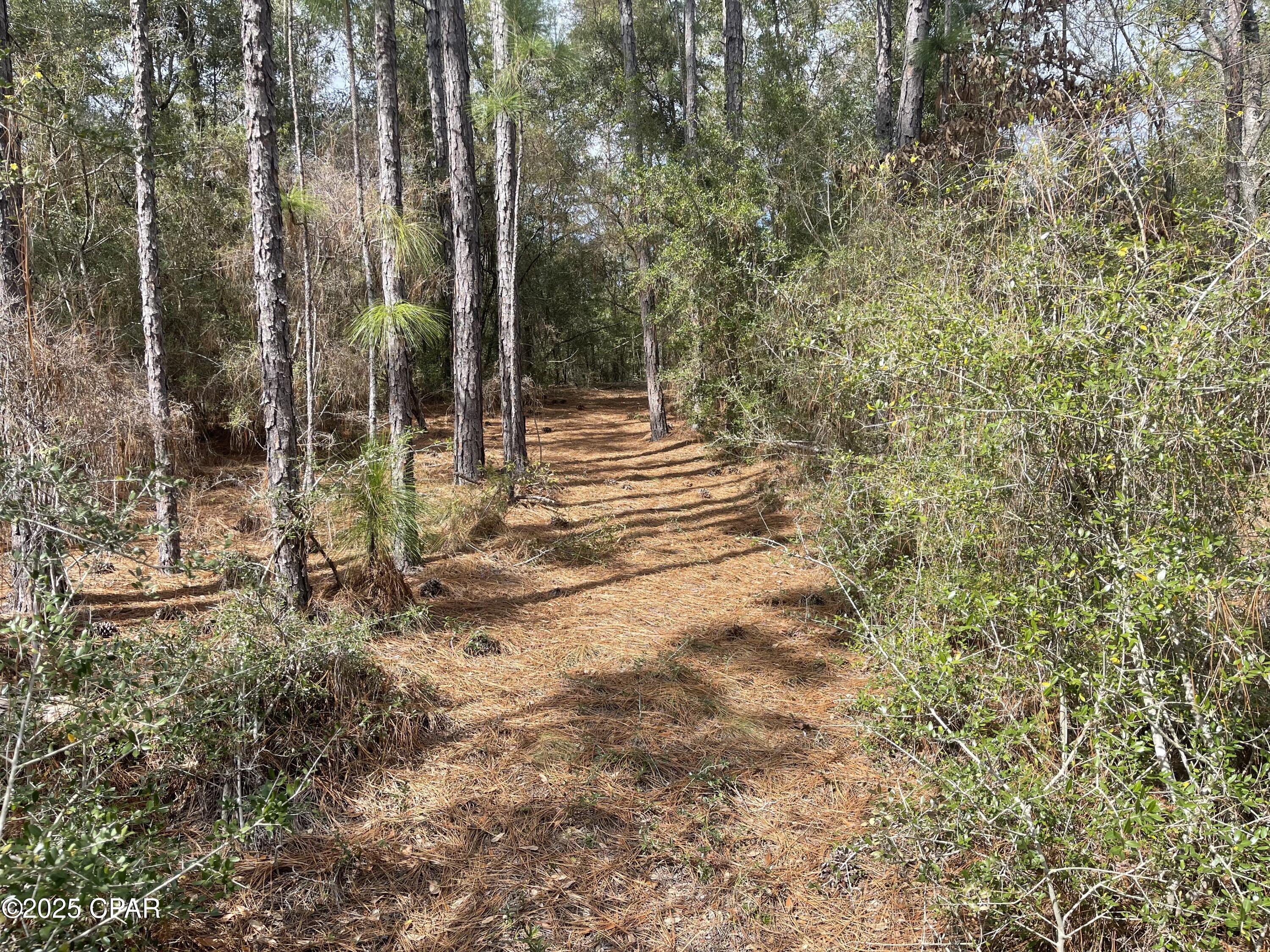 3340 Varsey Lane, Marianna, Florida image 7