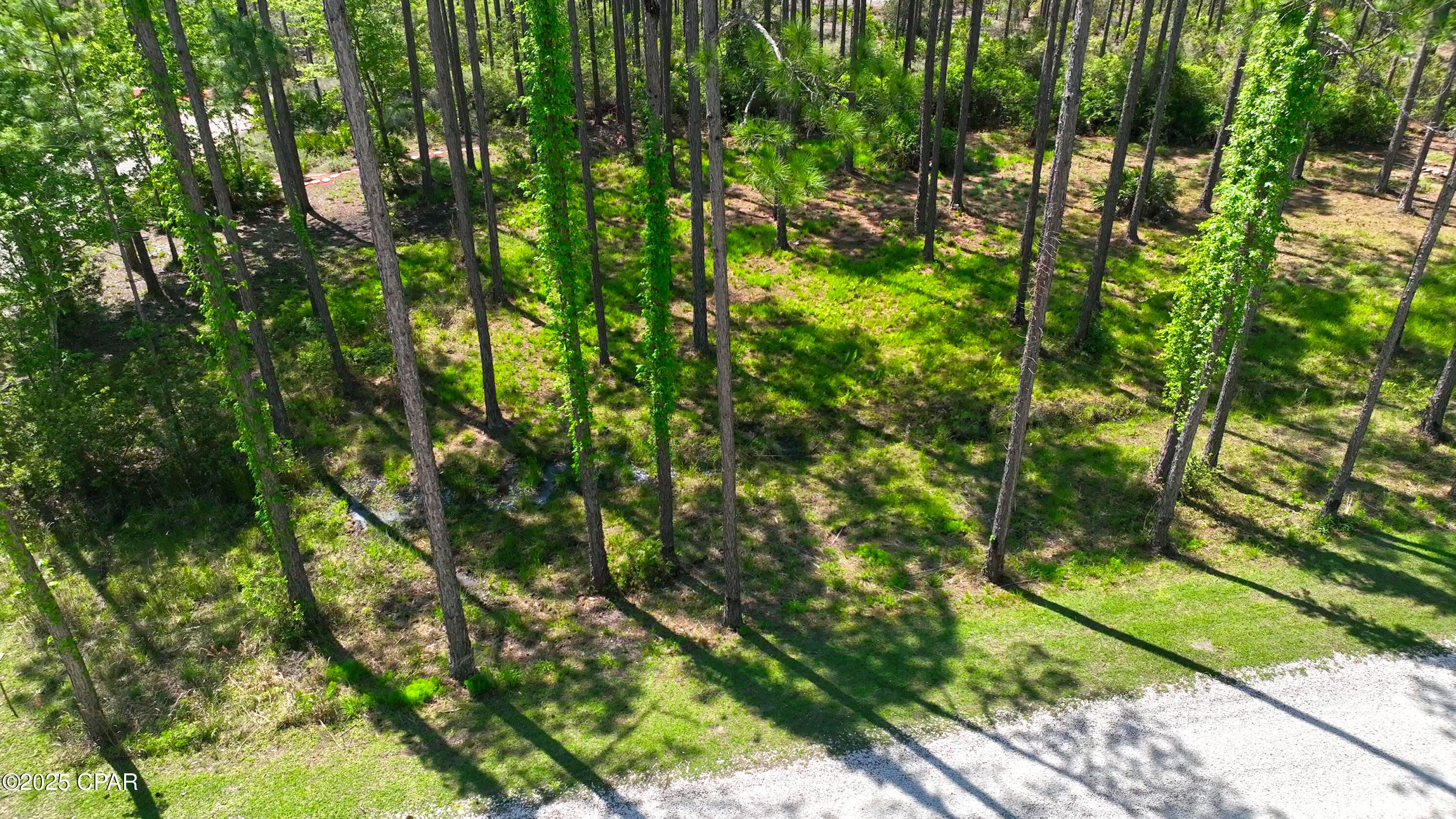 Image 11 For 6315 Turkey Cove Lane