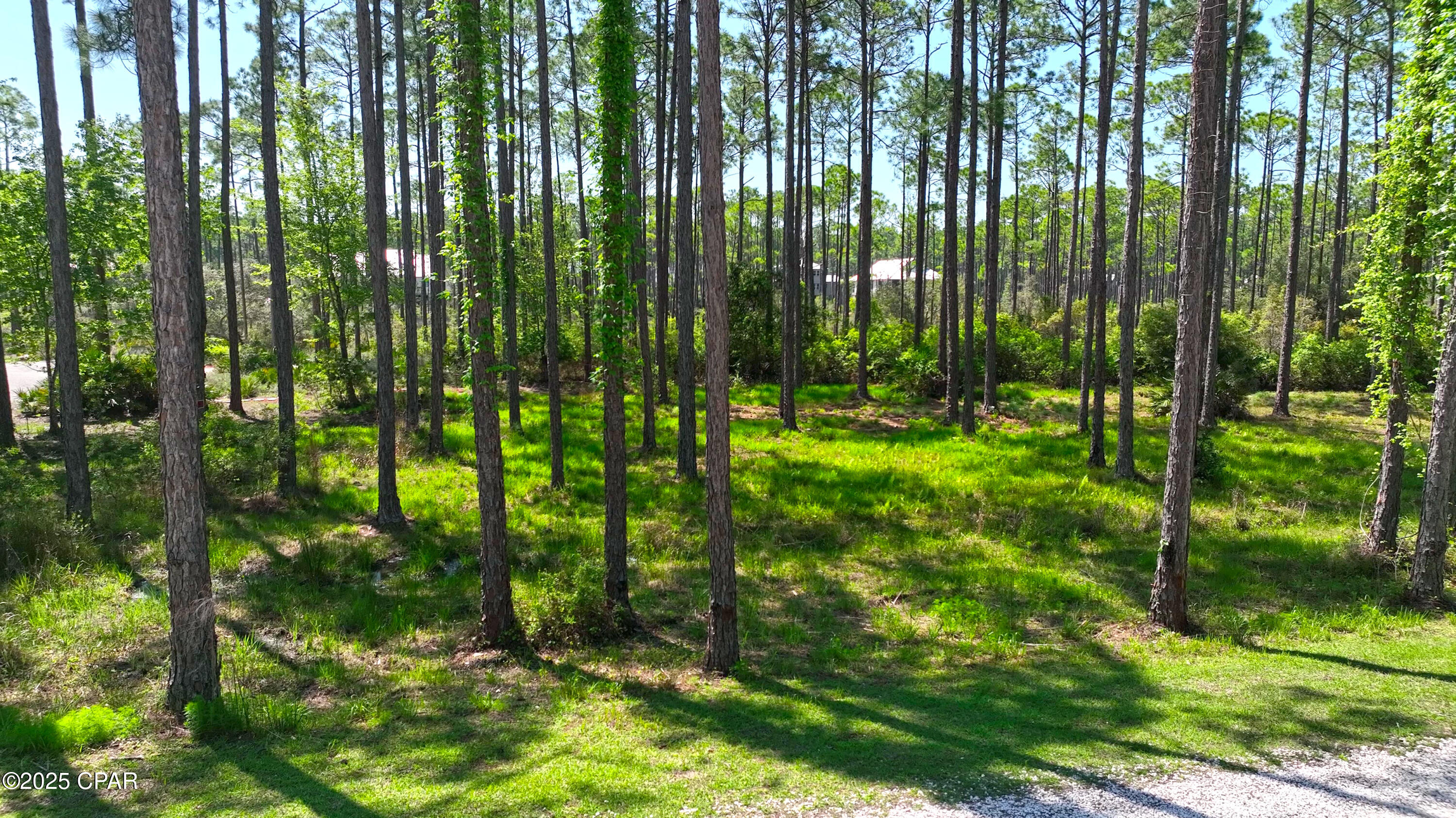 6315 Turkey Cove Lane, Panama City Beach, Florida image 24