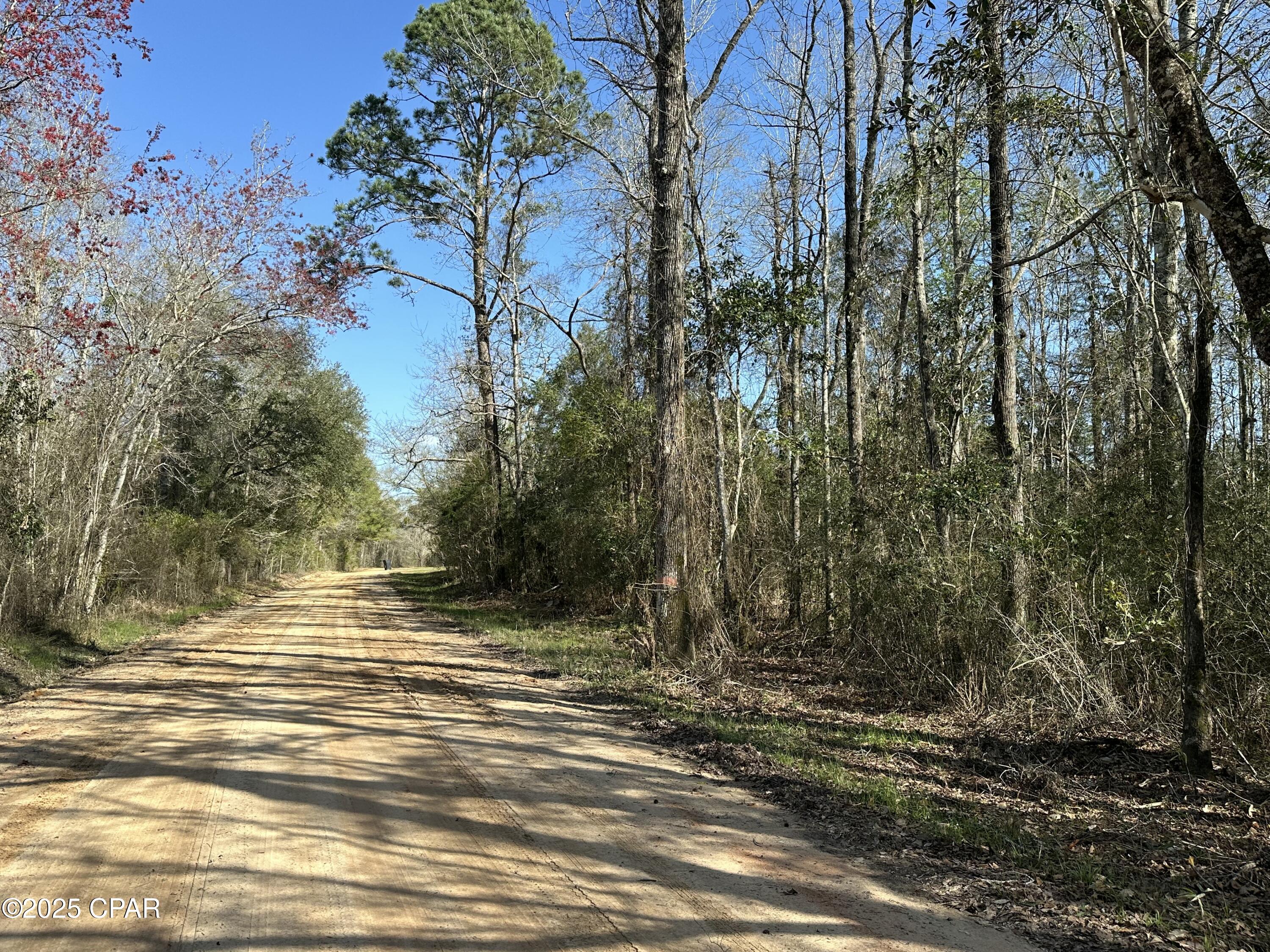 Tract#6317 Harris Stevenson Road, Bonifay, Florida image 1