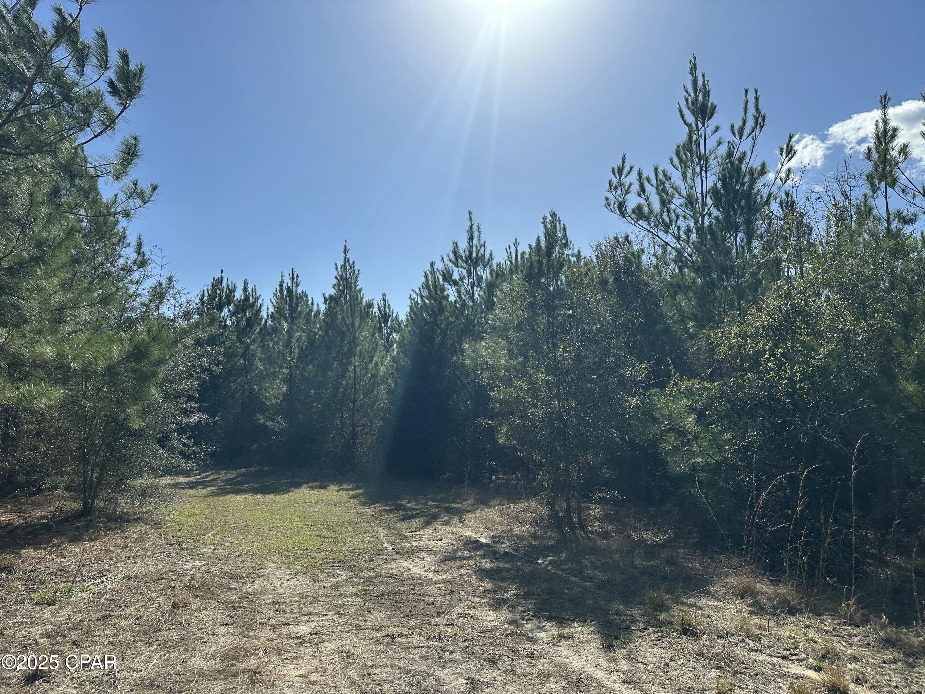 Image 5 For Tract#6317 Harris Stevenson Road