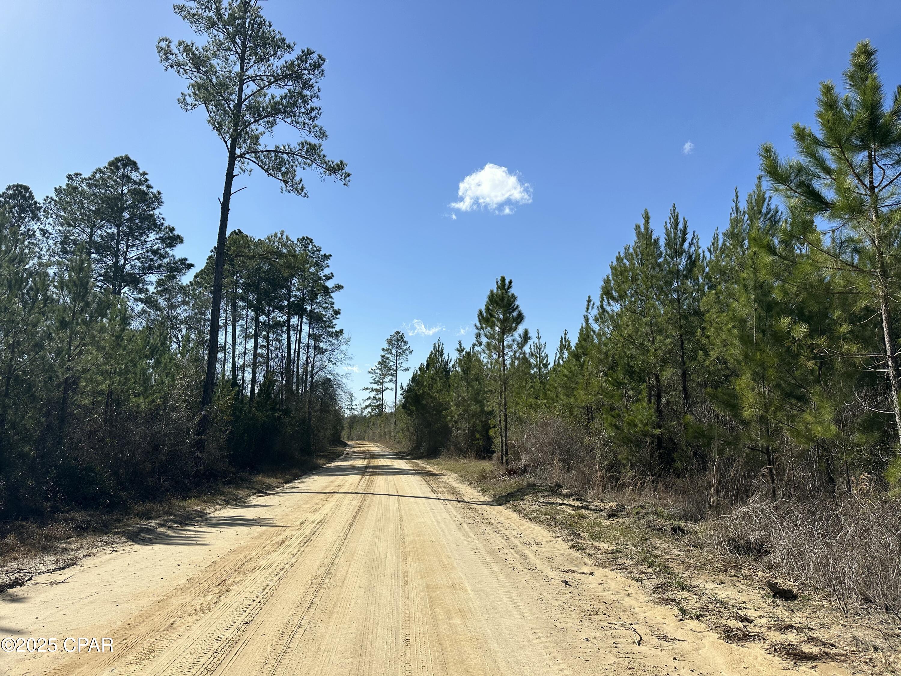 Tract#6317 Harris Stevenson Road, Bonifay, Florida image 8