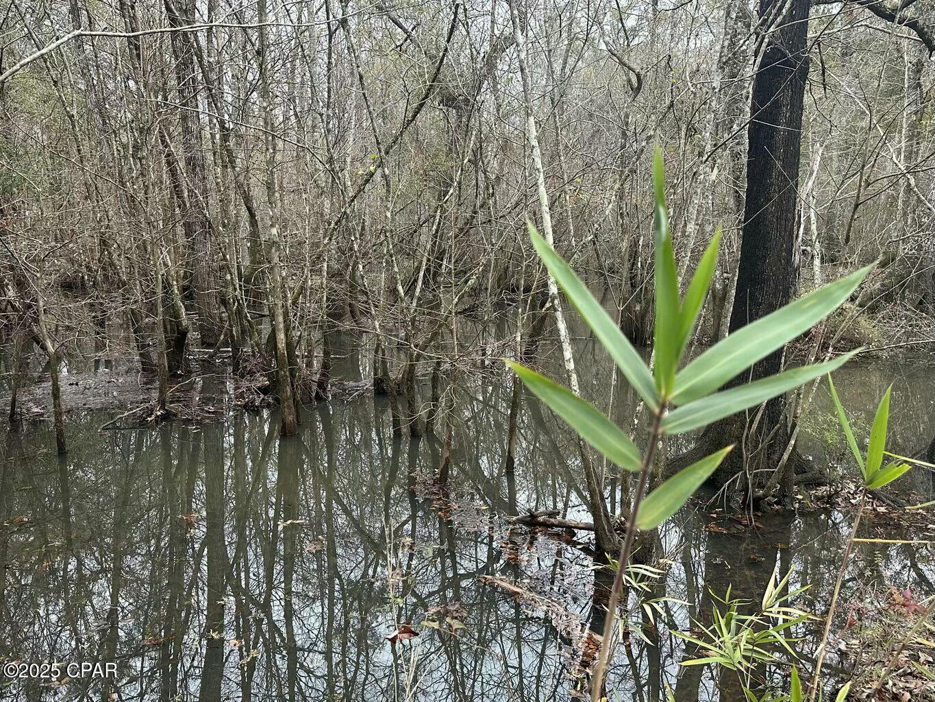 Tract#6326 Tri County Road #59 +/- AC, Bonifay, Florida image 12