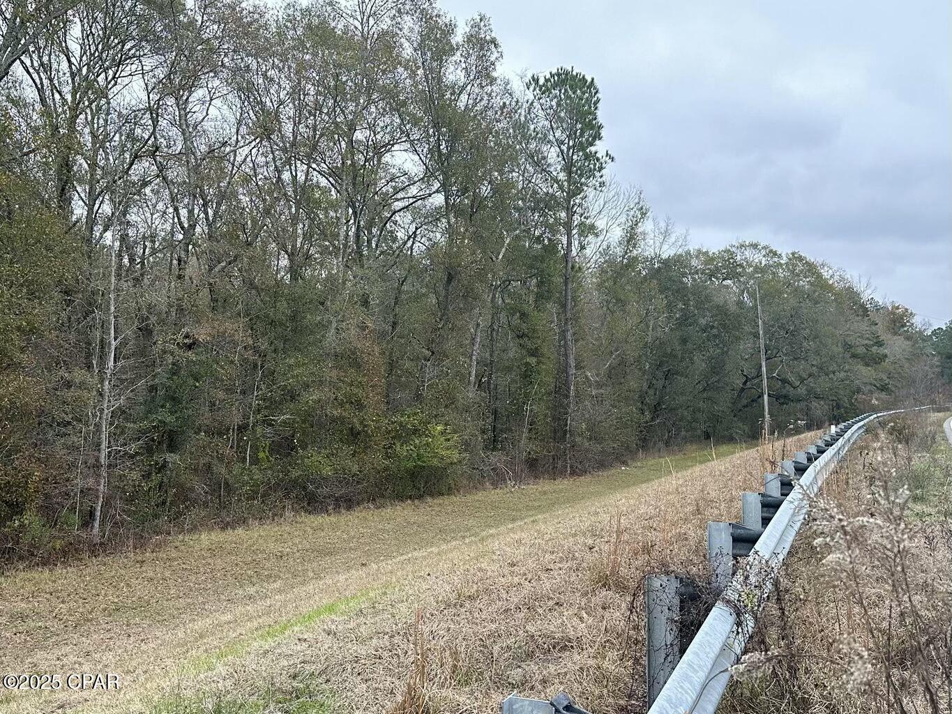 Tract#6326 Tri County Road #59 +/- AC, Bonifay, Florida image 4