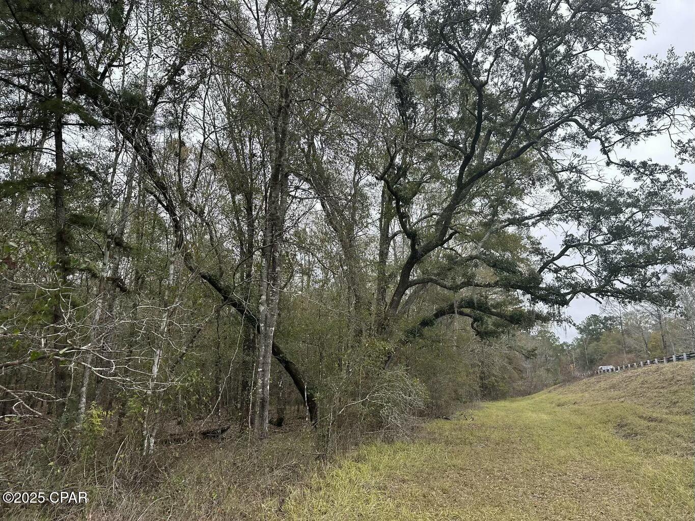 Tract#6326 Tri County Road #59 +/- AC, Bonifay, Florida image 8