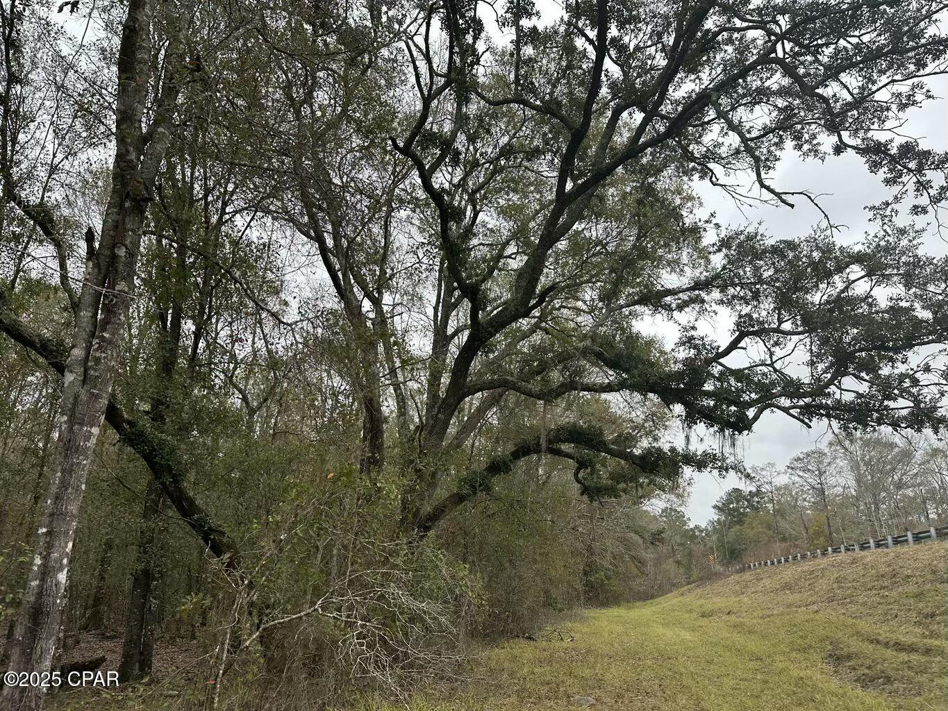 Image 9 For Tract#6326 Tri County Road  59 +-- Ac
