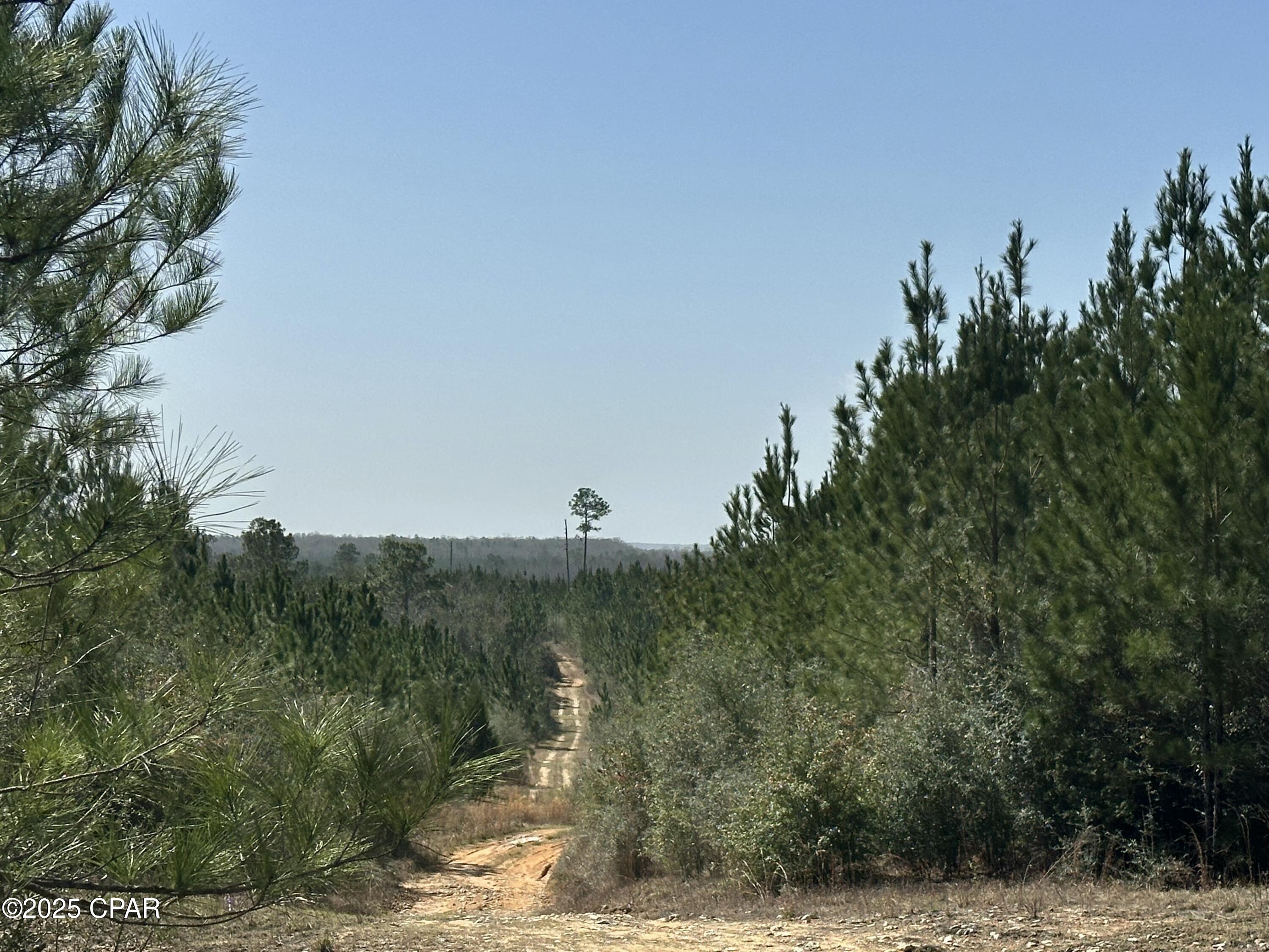 Tract#6416 S Douglas Ferry Road, Caryville, Florida image 1