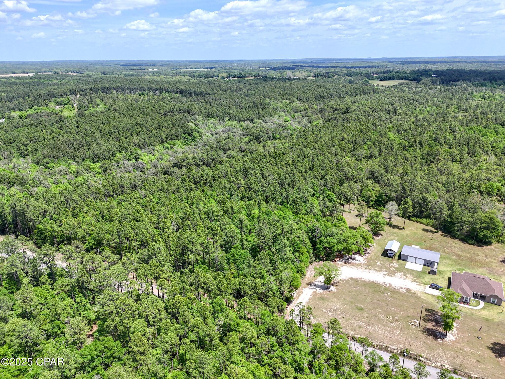 10 Acres Piney Grove Church Road, Defuniak Springs, Florida image 7