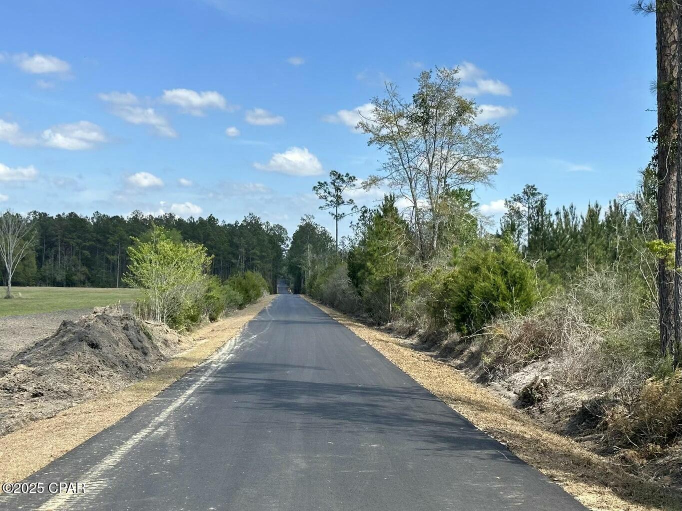 Tract#6416 Brock Road, Caryville, Florida image 3