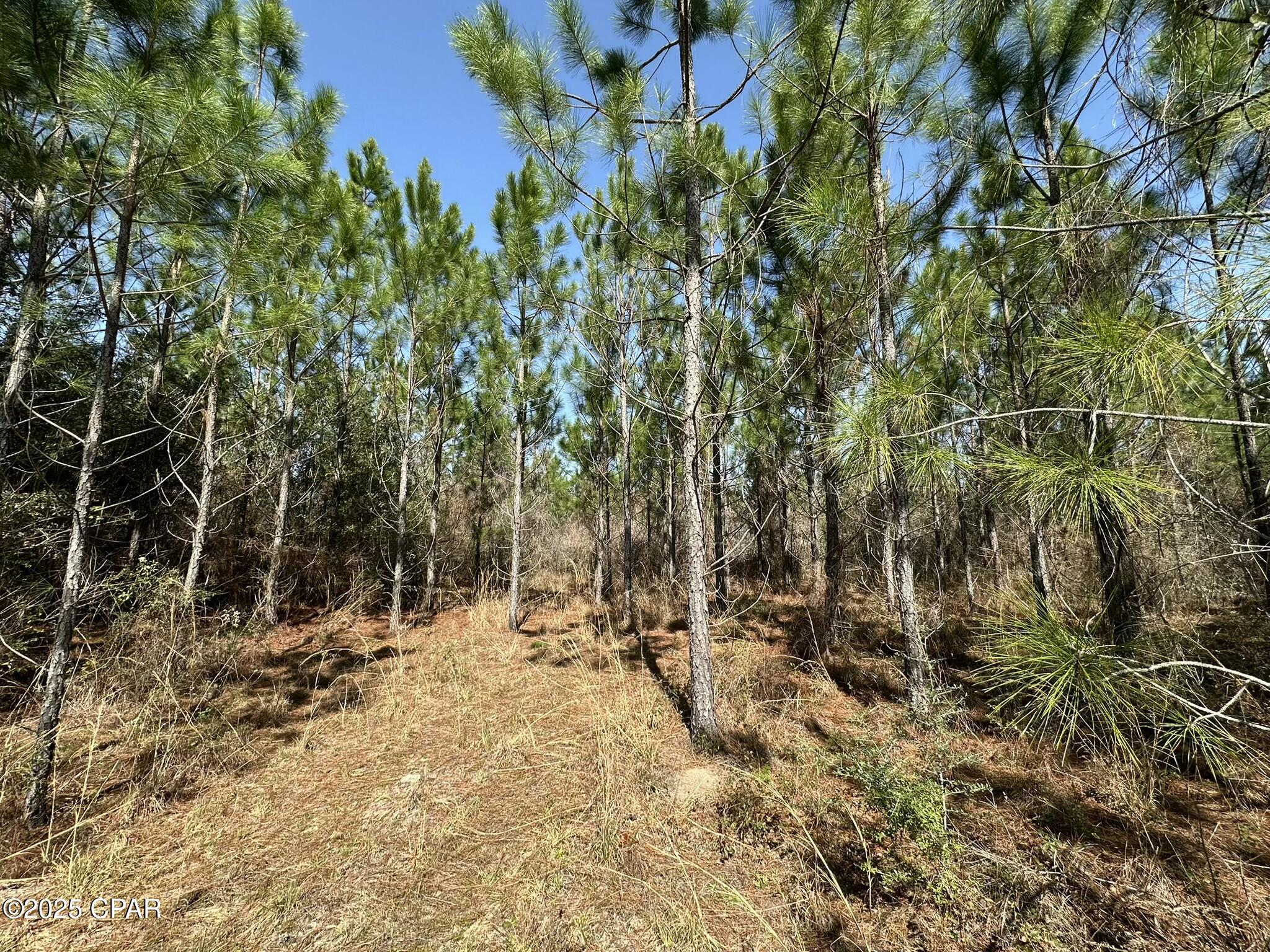 Details for Tract#6416 Douglas Ferry North, Caryville, FL 32427
