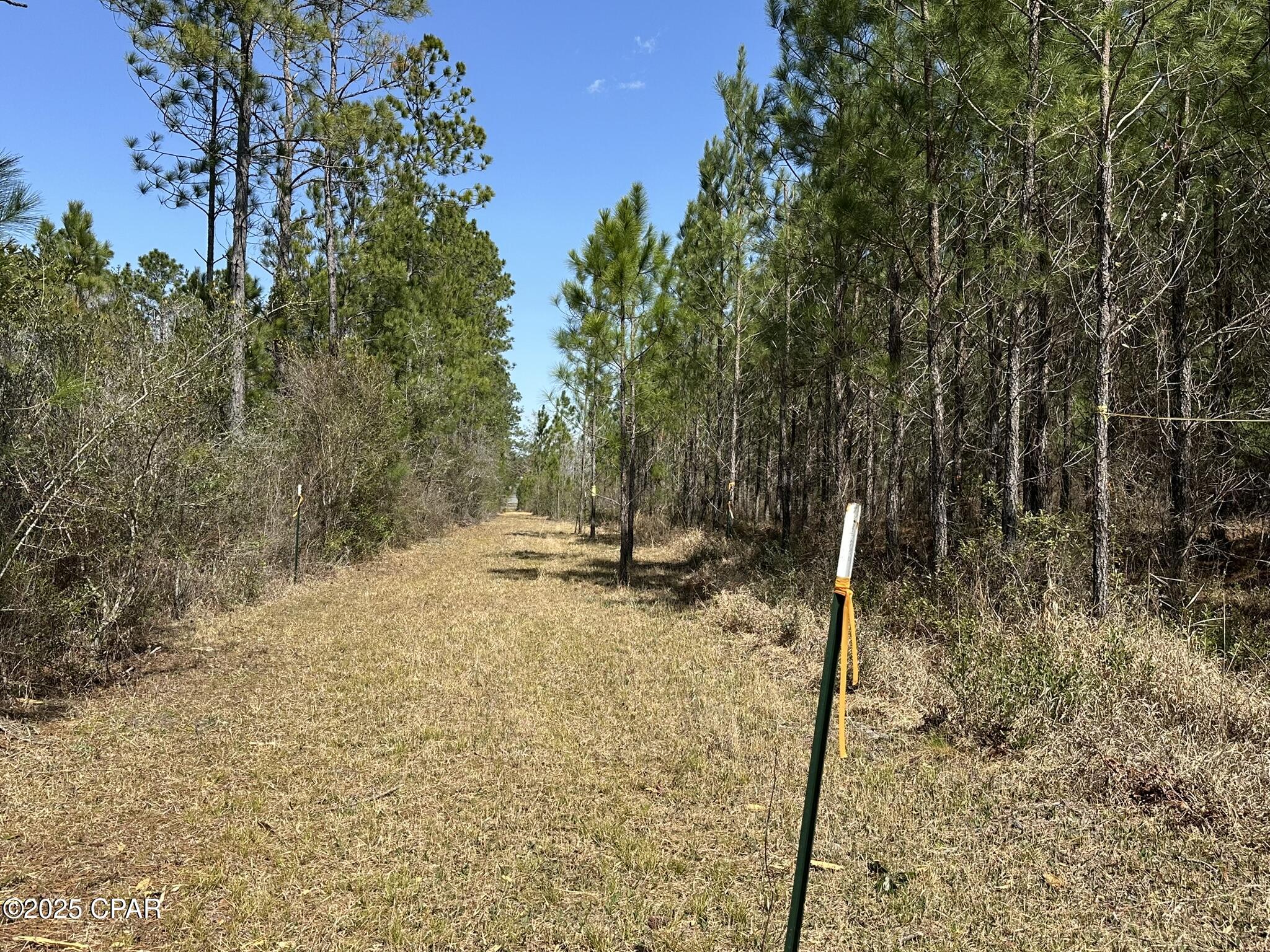 Tract#6416 Douglas Ferry North, Caryville, Florida image 12