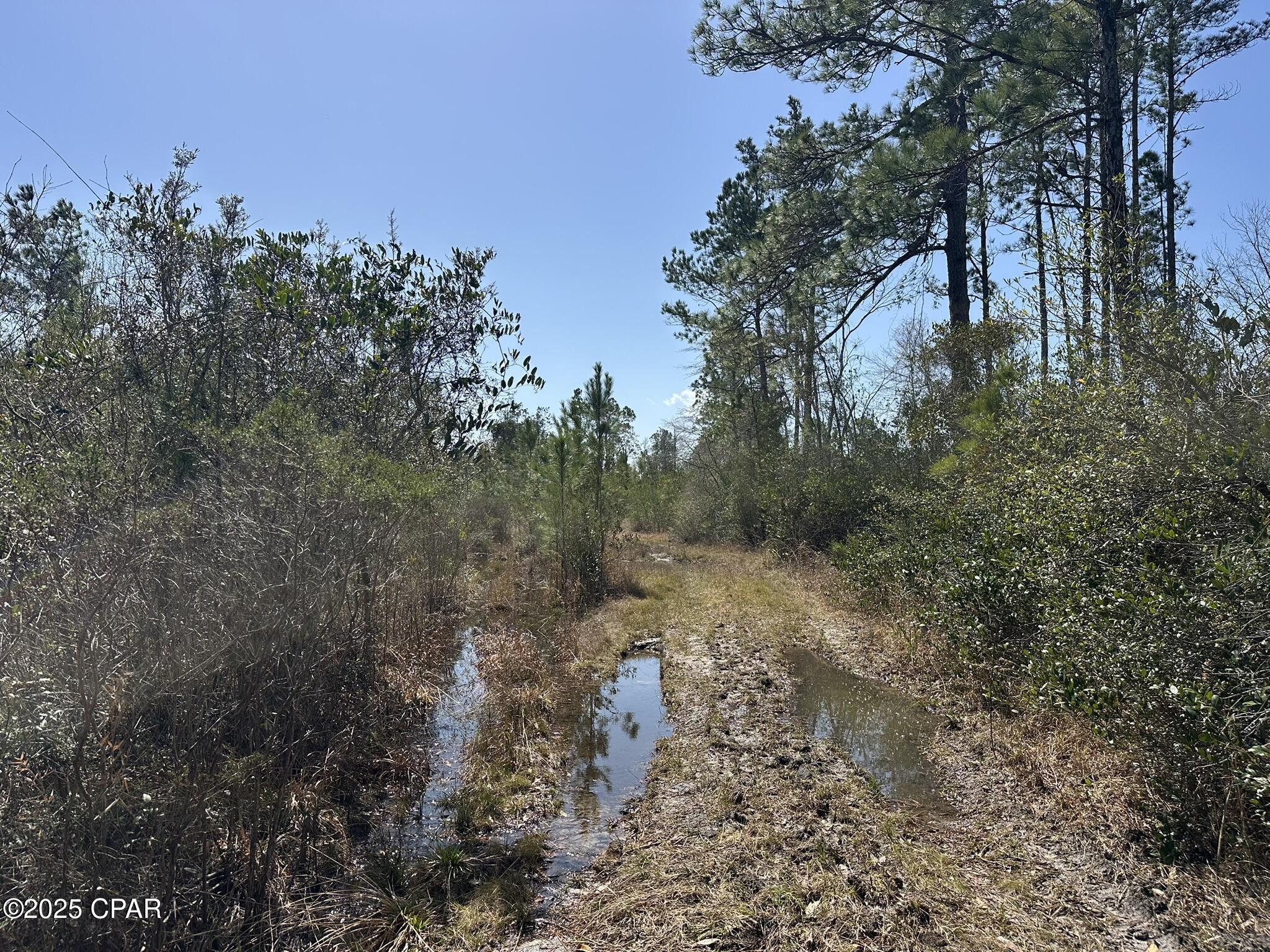 Tract#6416 Douglas Ferry North, Caryville, Florida image 13