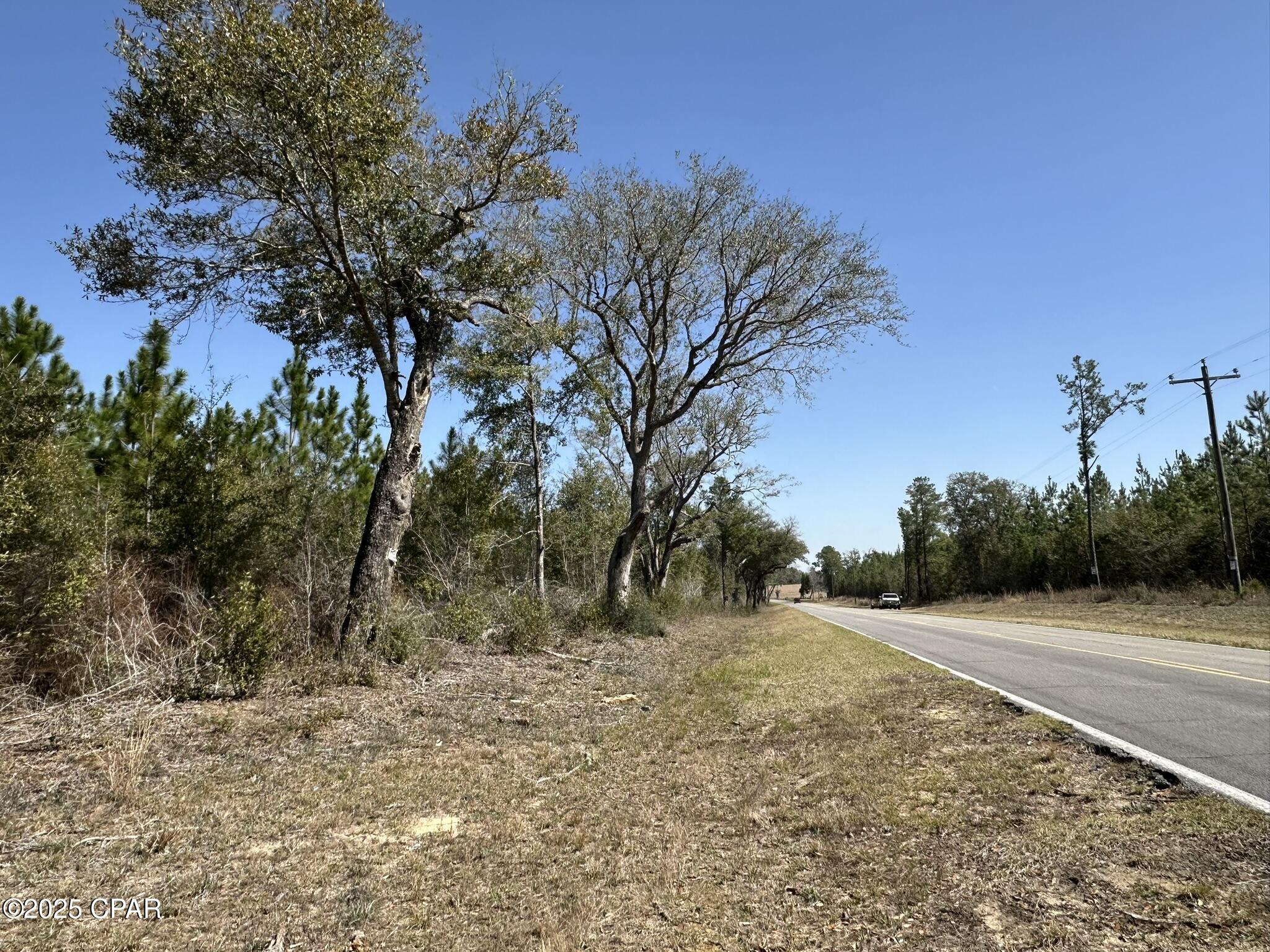 Tract#6416 Douglas Ferry North, Caryville, Florida image 5