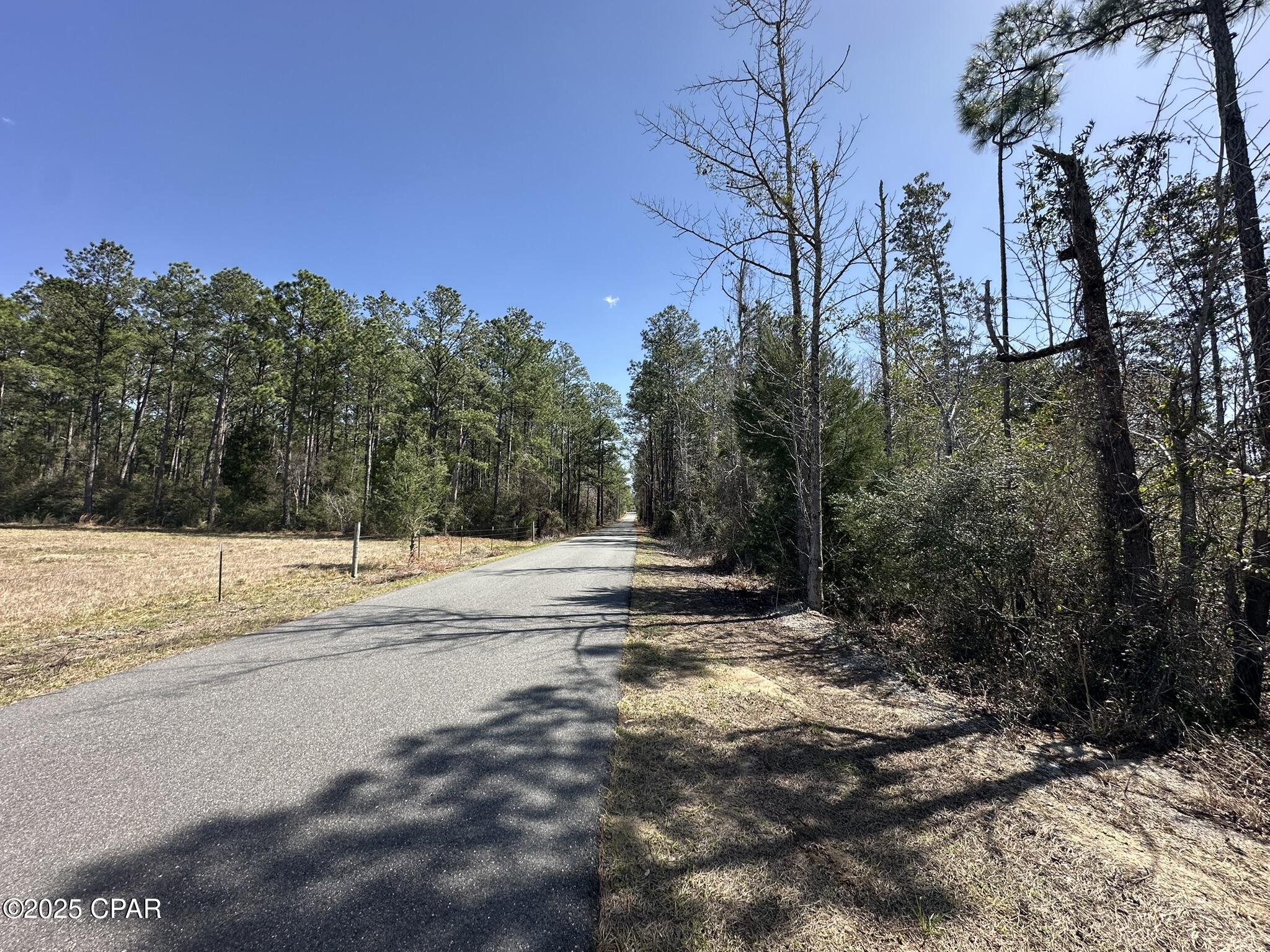 Tract#6416 Douglas Ferry North, Caryville, Florida image 7