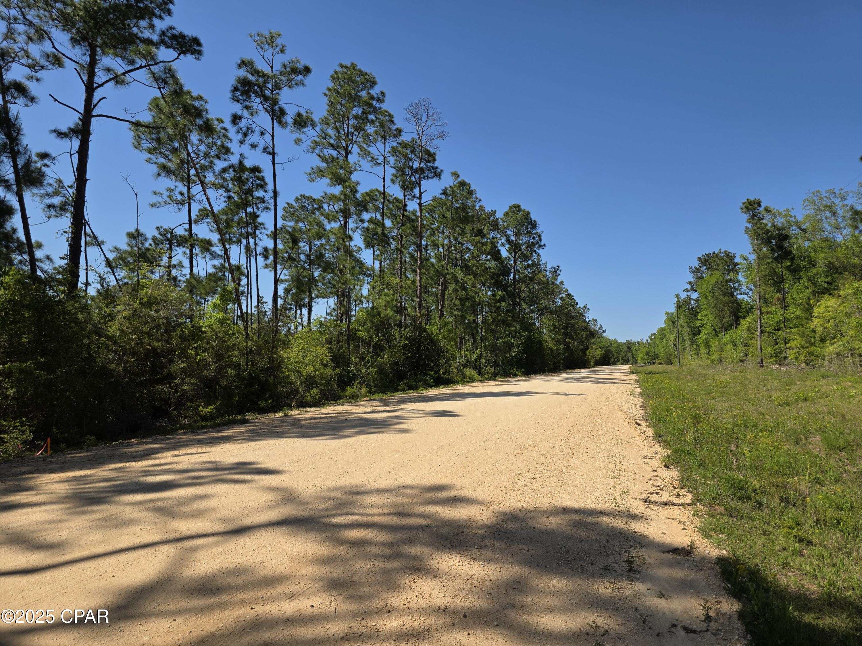 Lot 17 Los Padres, Alford, Florida image 5