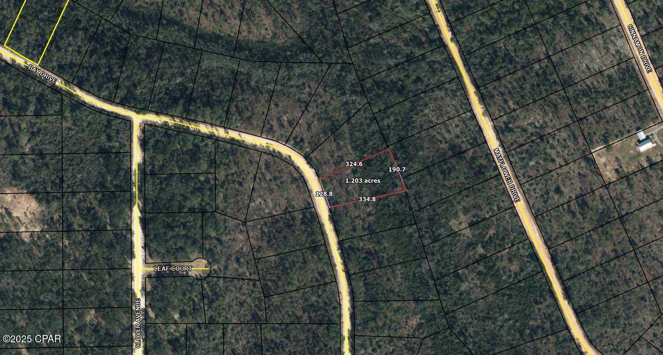Lot 56 Bay, Marianna, Florida image 1
