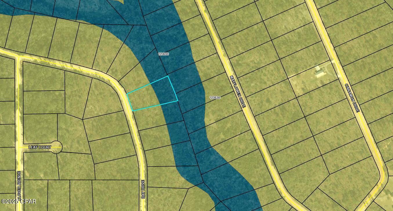Lot 56 Bay, Marianna, Florida image 7
