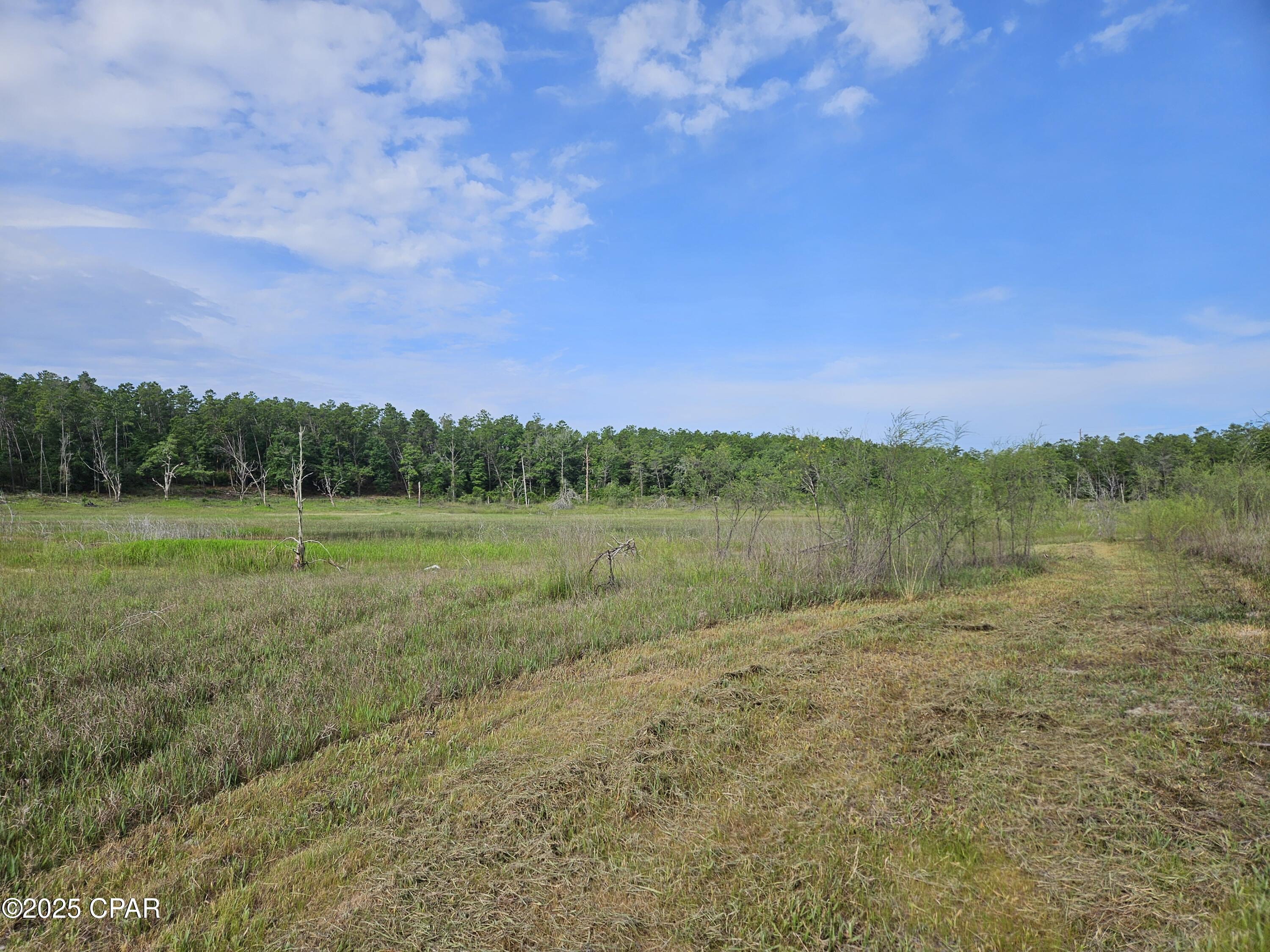 Image 30 For 6355 Highway 77