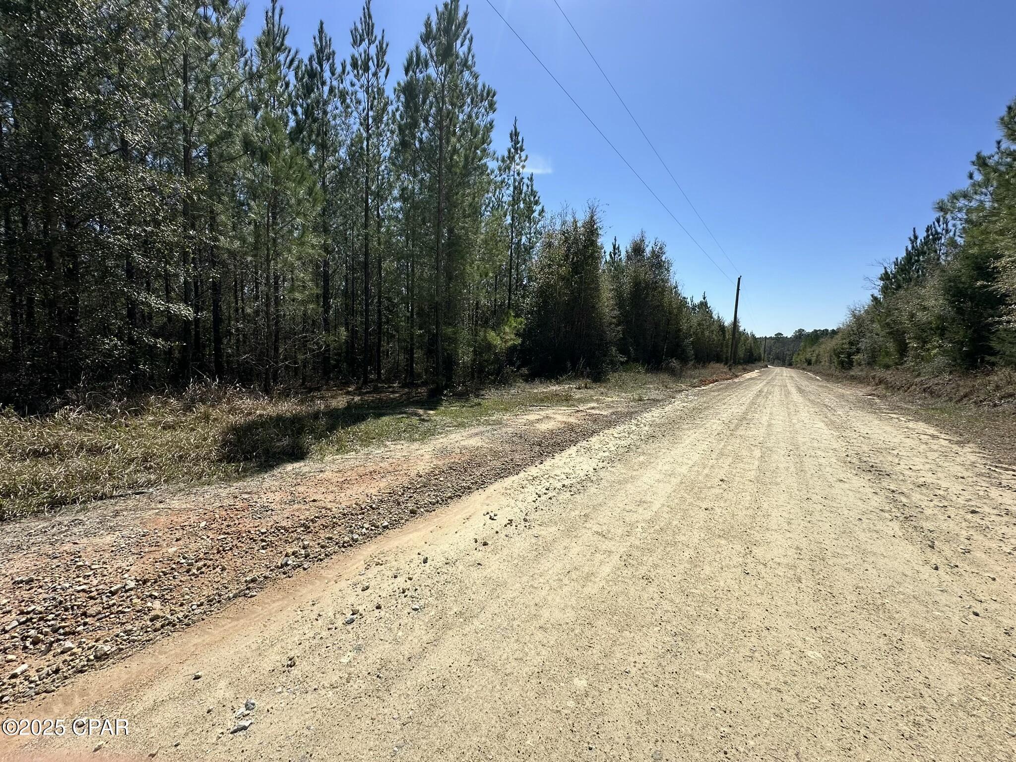 Tract#6418 Mattox Springs East North, Caryville, Florida image 2