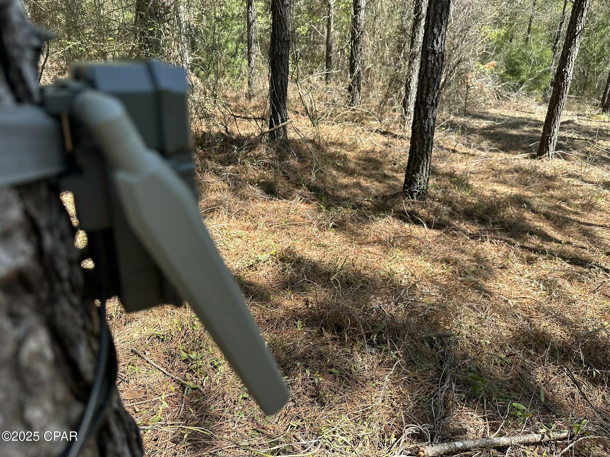 Tract#6418 Mattox Springs East North, Caryville, Florida image 5