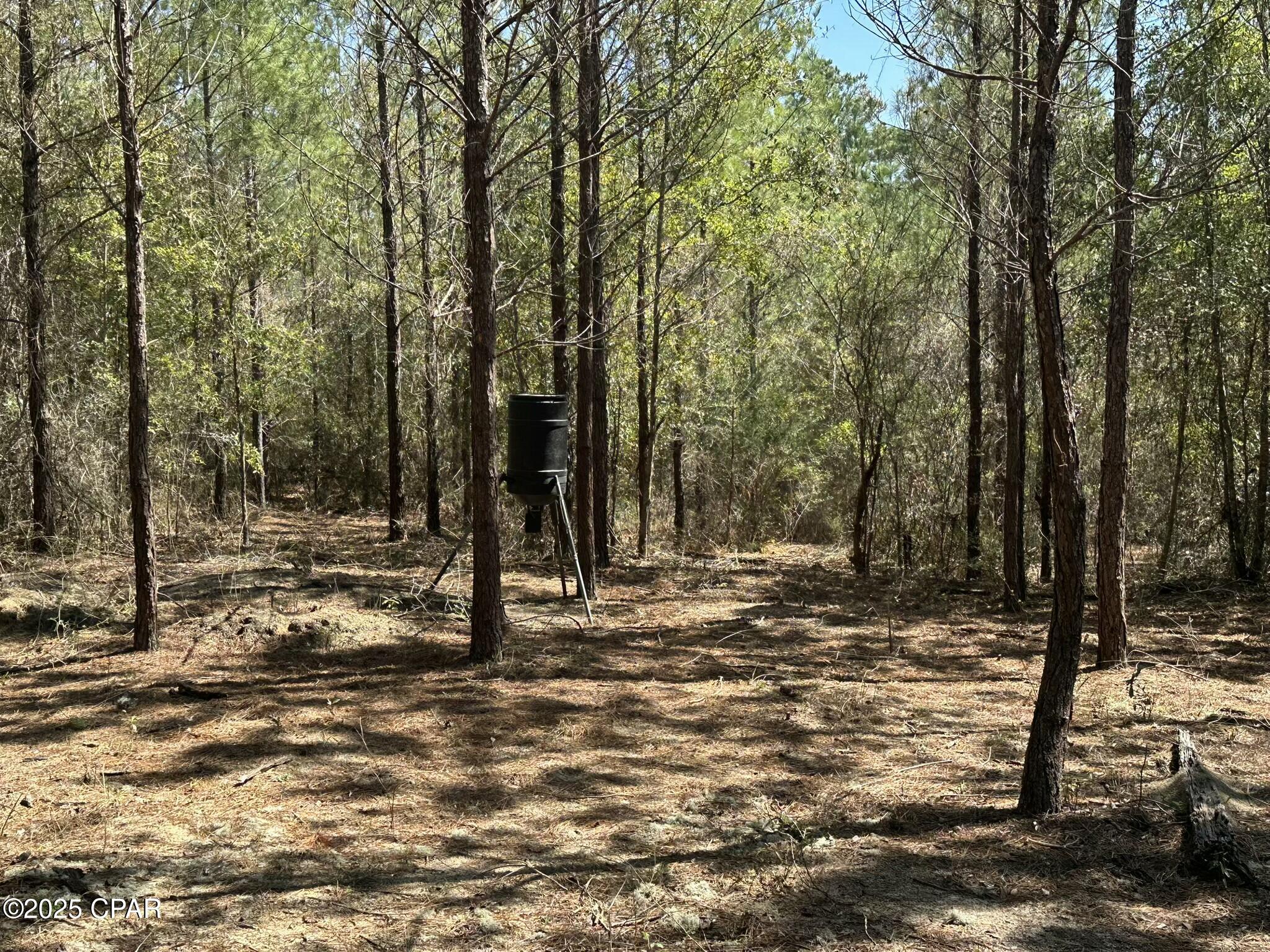 Image 6 For Tract#6418 Mattox Springs East North