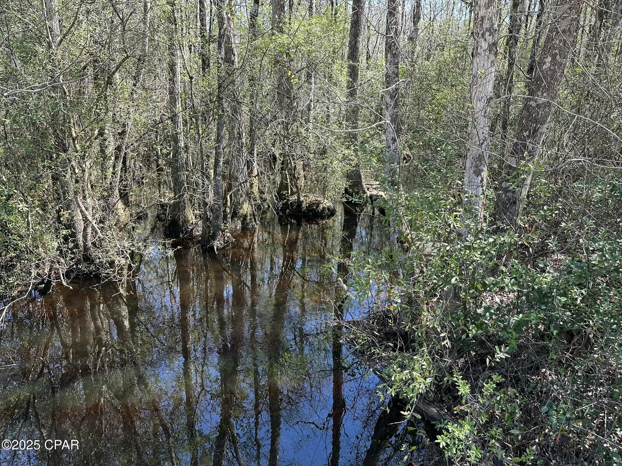 Tract#6418 Mattox Springs East North, Caryville, Florida image 8