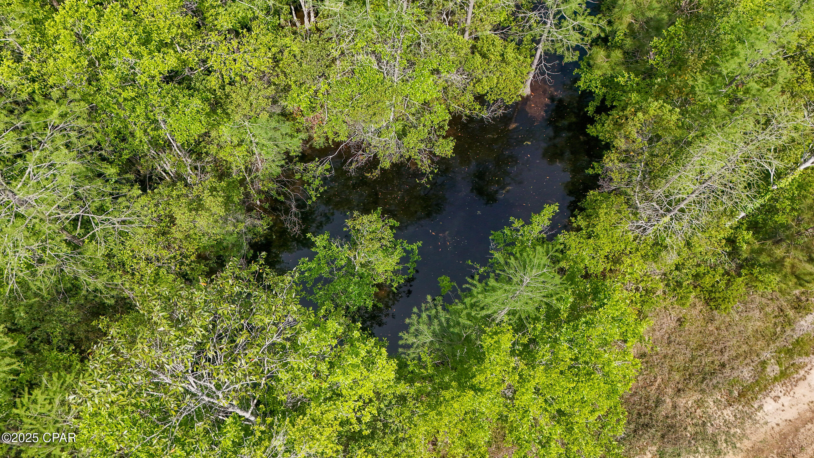 3396 Varsey Lane, Marianna, Florida image 33