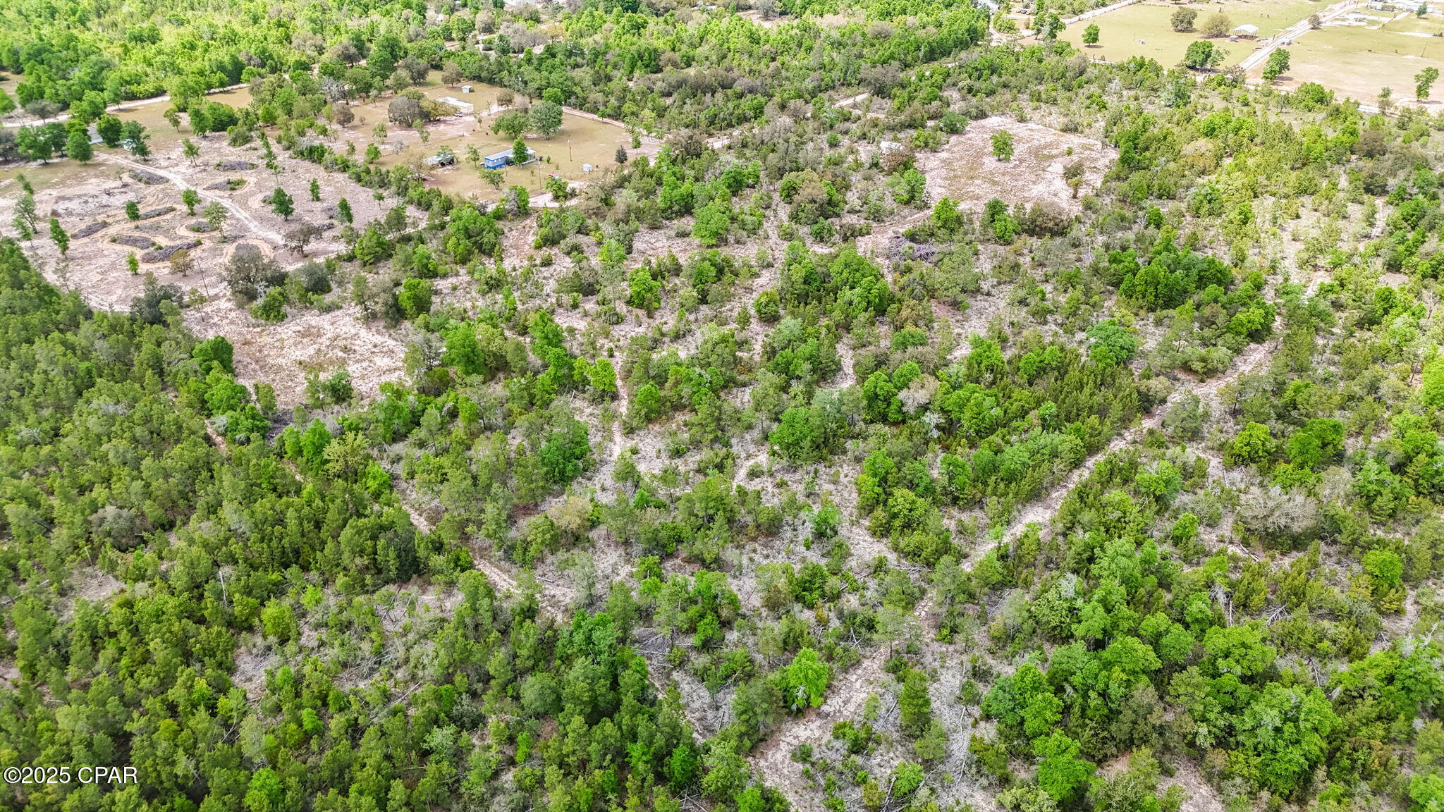 Miles Road, Youngstown, Florida image 12