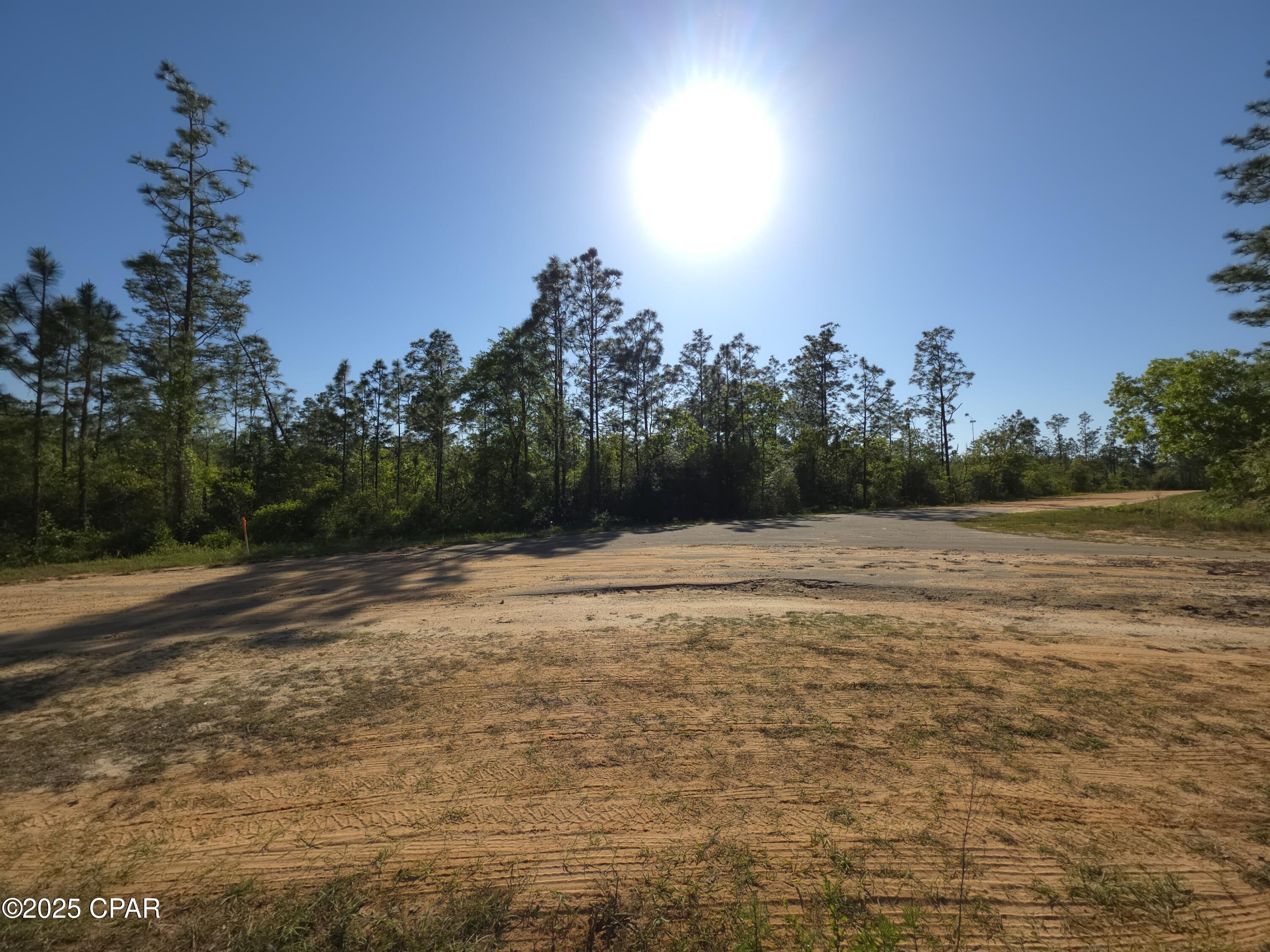 Lot 82 Mayflower, Marianna, Florida image 2