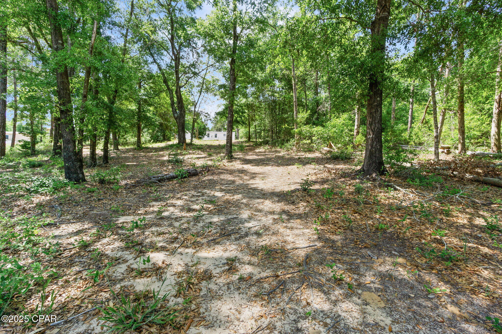 3811 Hicks Lake Lane, Vernon, Florida image 34