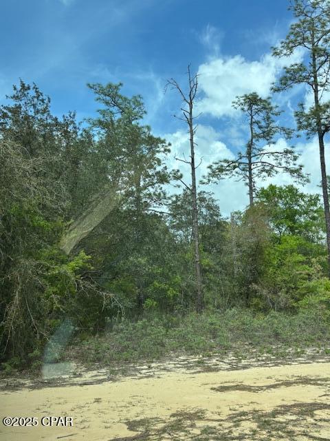 4027 Dunford Circle, Chipley, Florida image 15