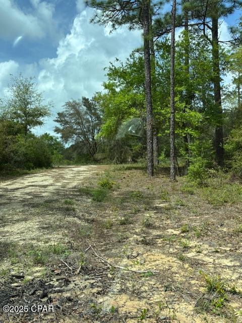 4027 Dunford Circle, Chipley, Florida image 16