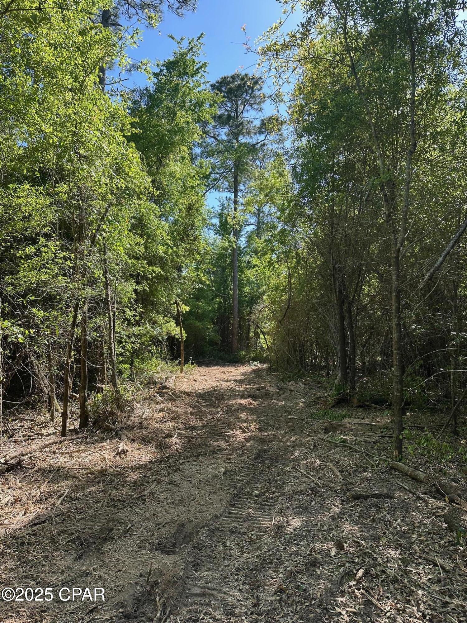 Image 7 For 00 Vereen Street