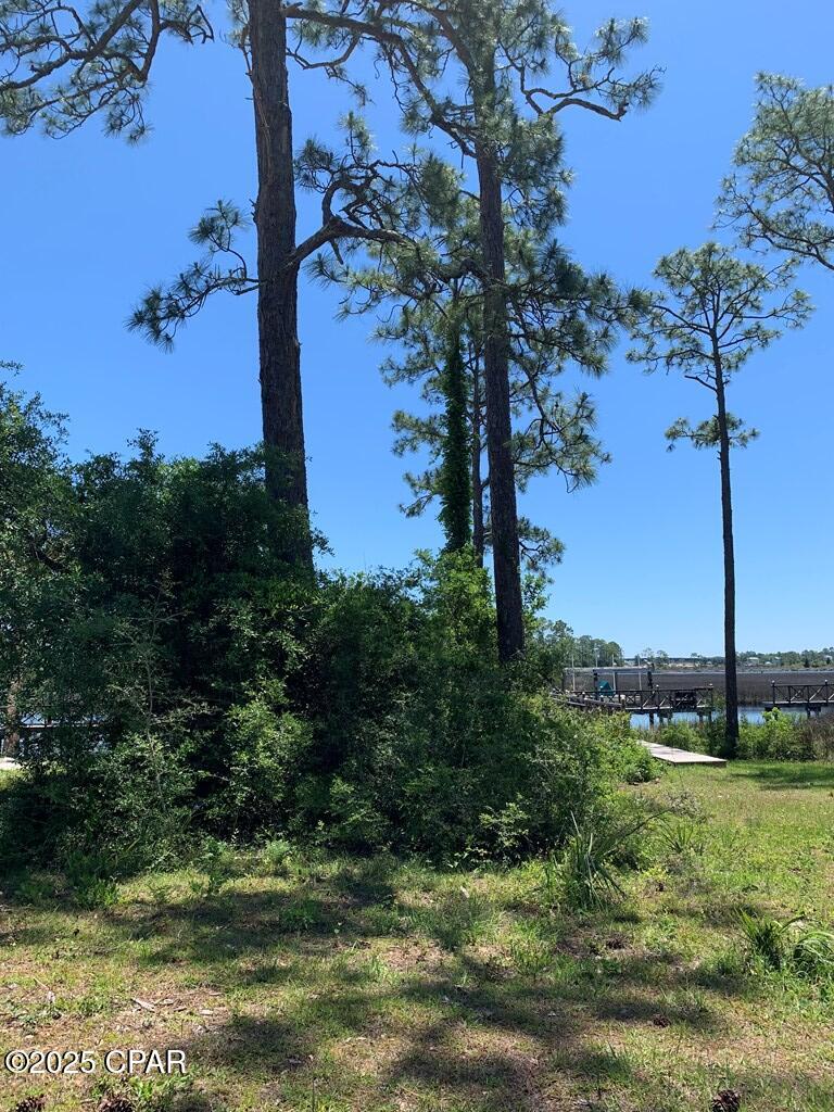 519 Shellys Loop Road, Carrabelle, Florida image 13