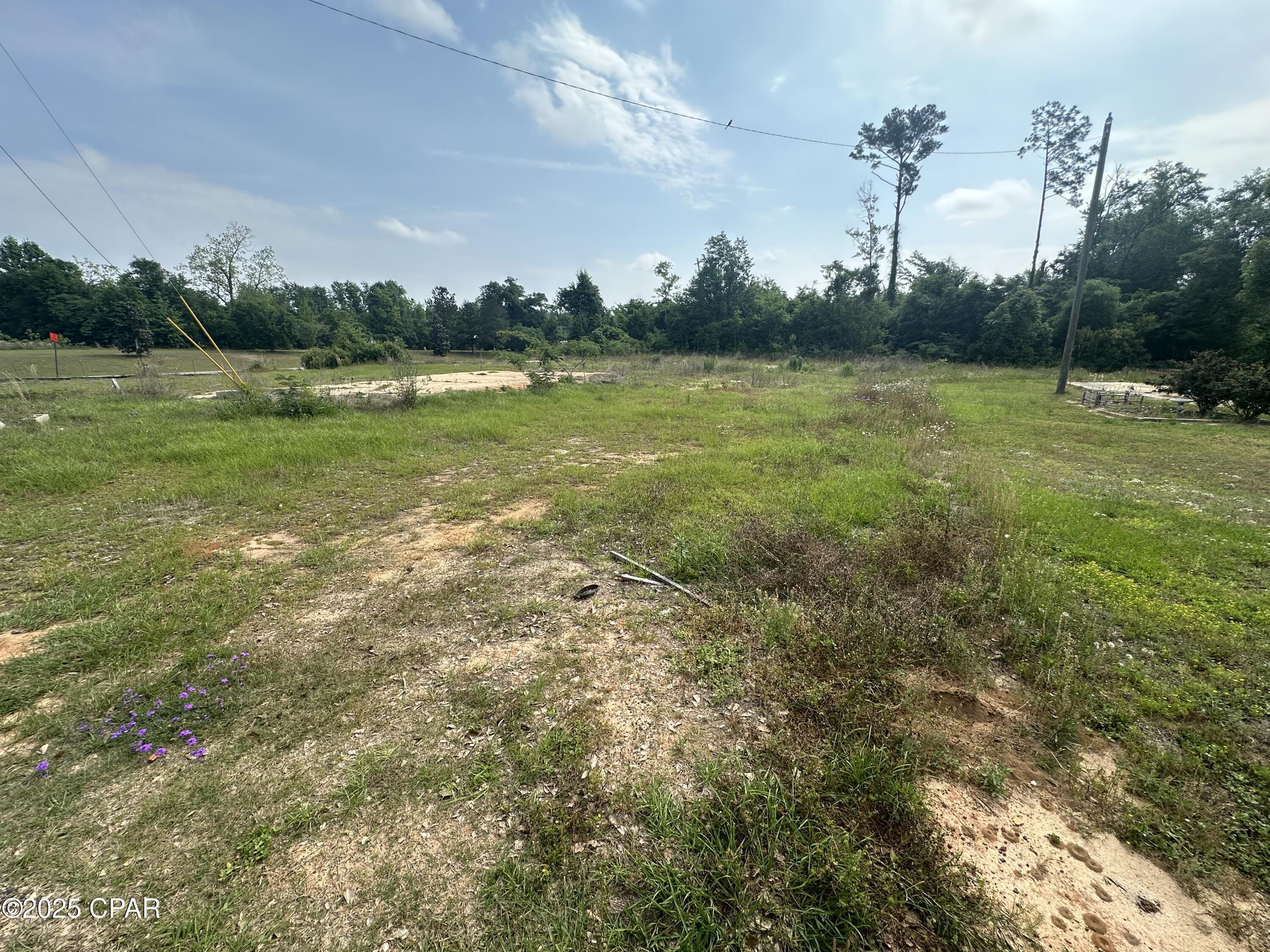 2010 O Hara Avenue, Sneads, Florida image 3
