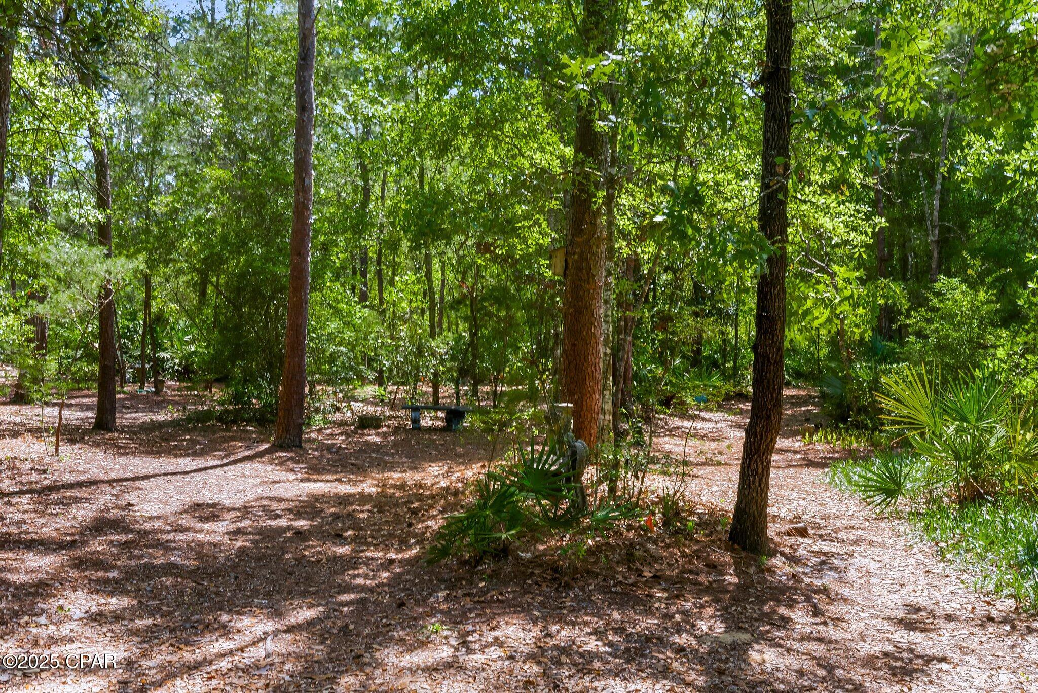 Image 49 For 149 Raintree Boulevard
