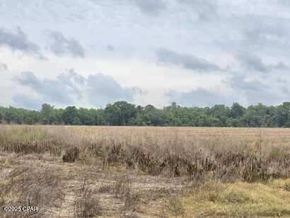 Juniper Creek Road, Quincy, Florida image 7