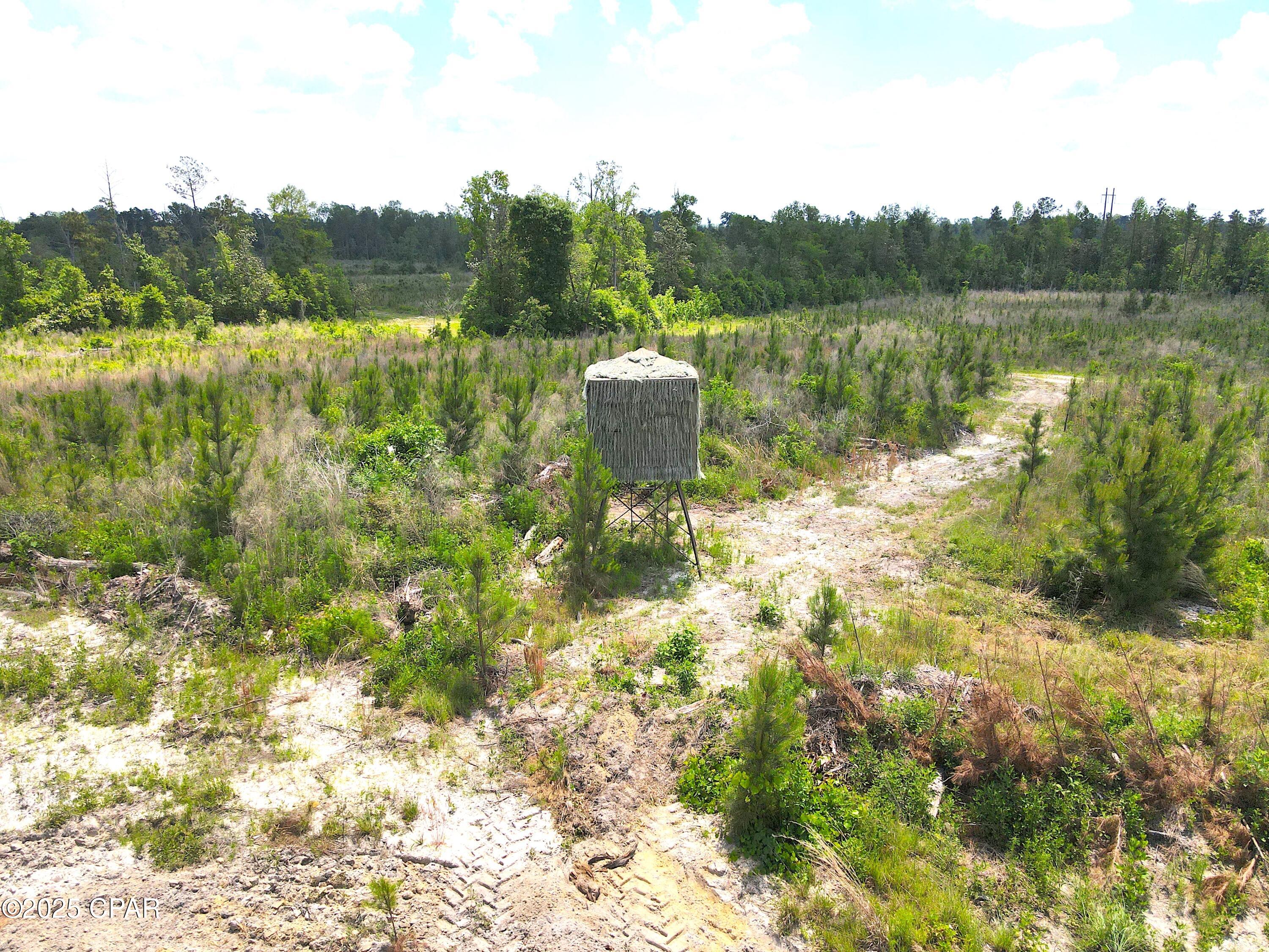 00 Sinai Road, Sneads, Florida image 11