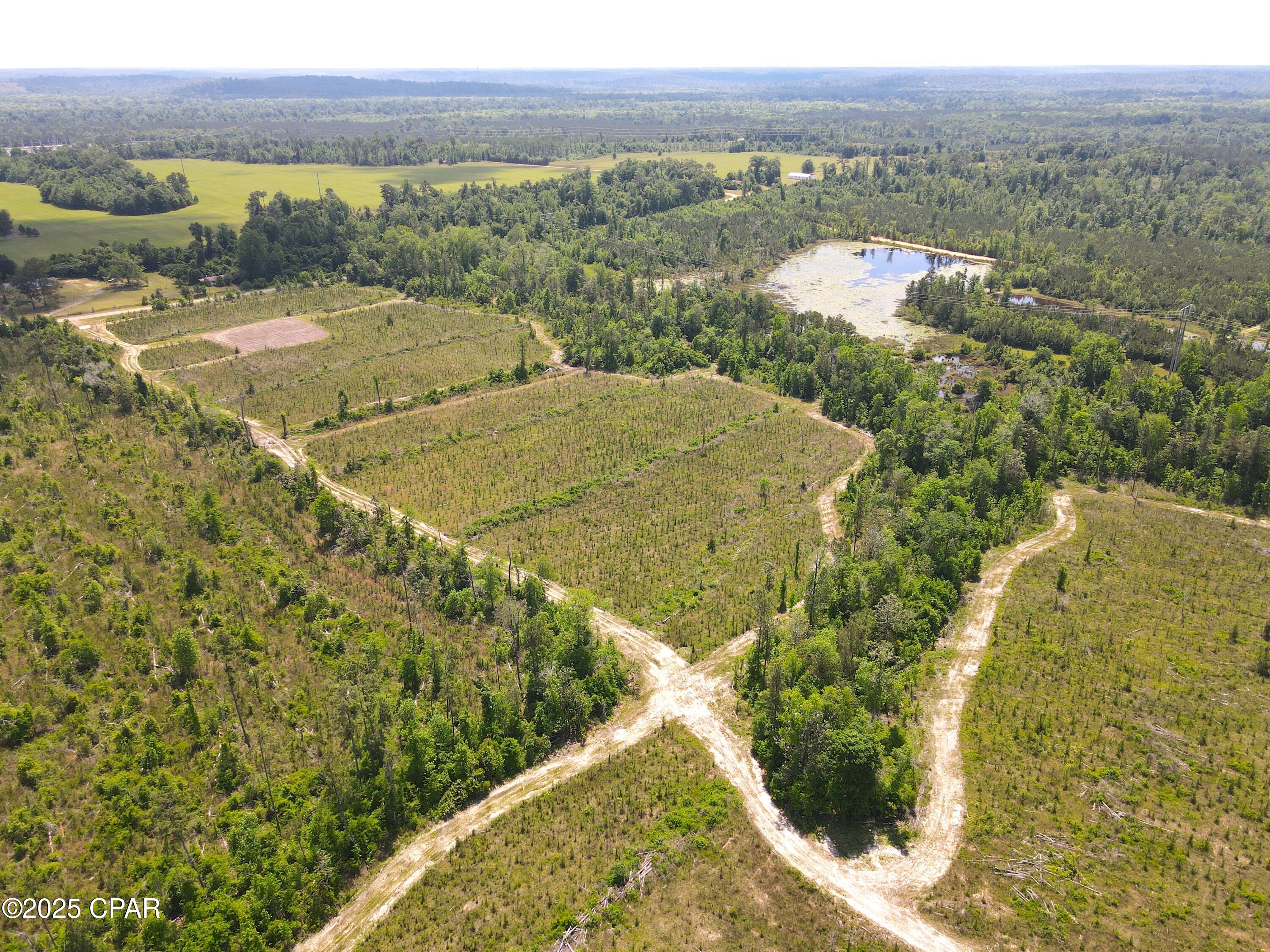 00 Sinai Road, Sneads, Florida image 24