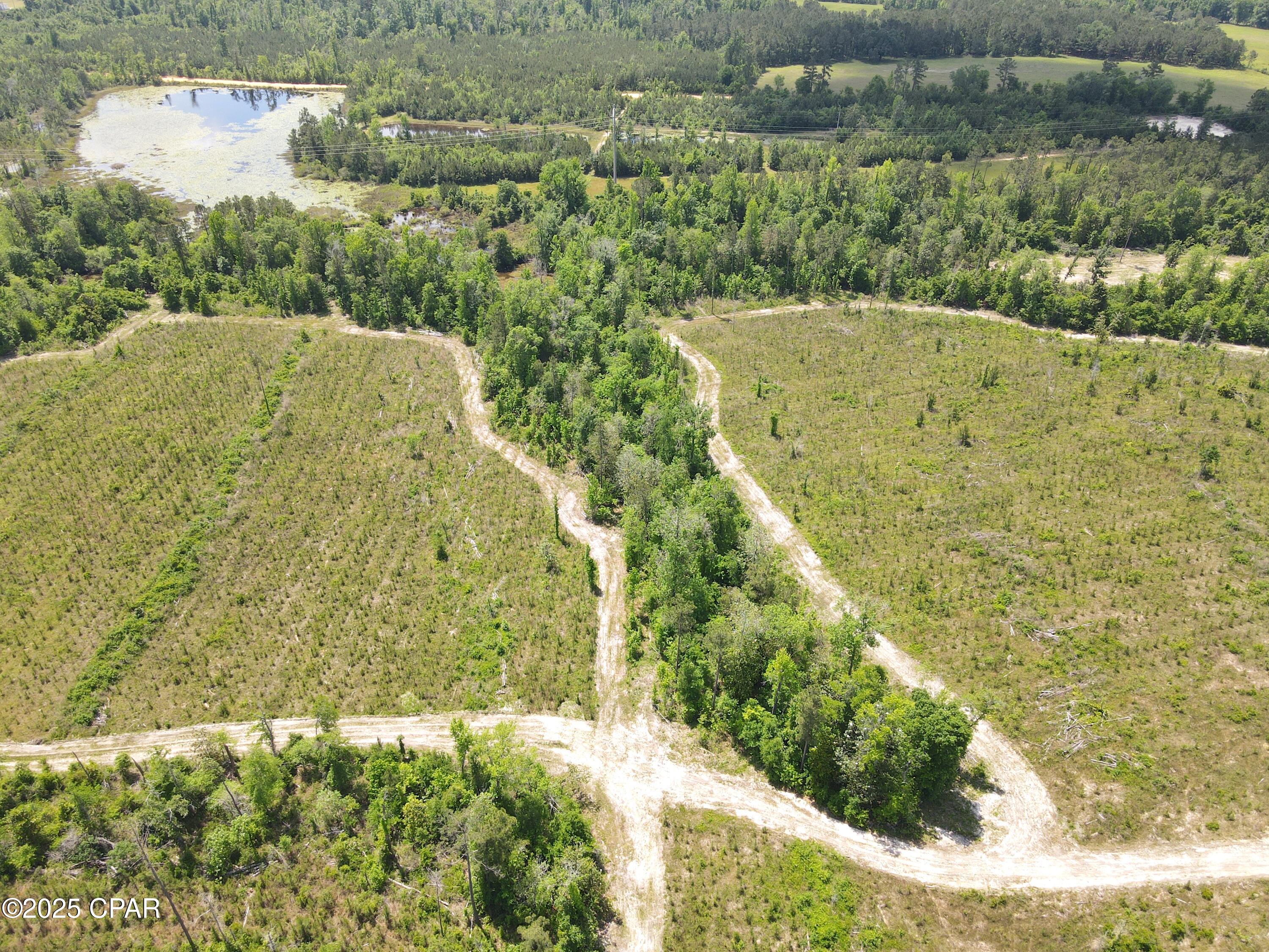 00 Sinai Road, Sneads, Florida image 25