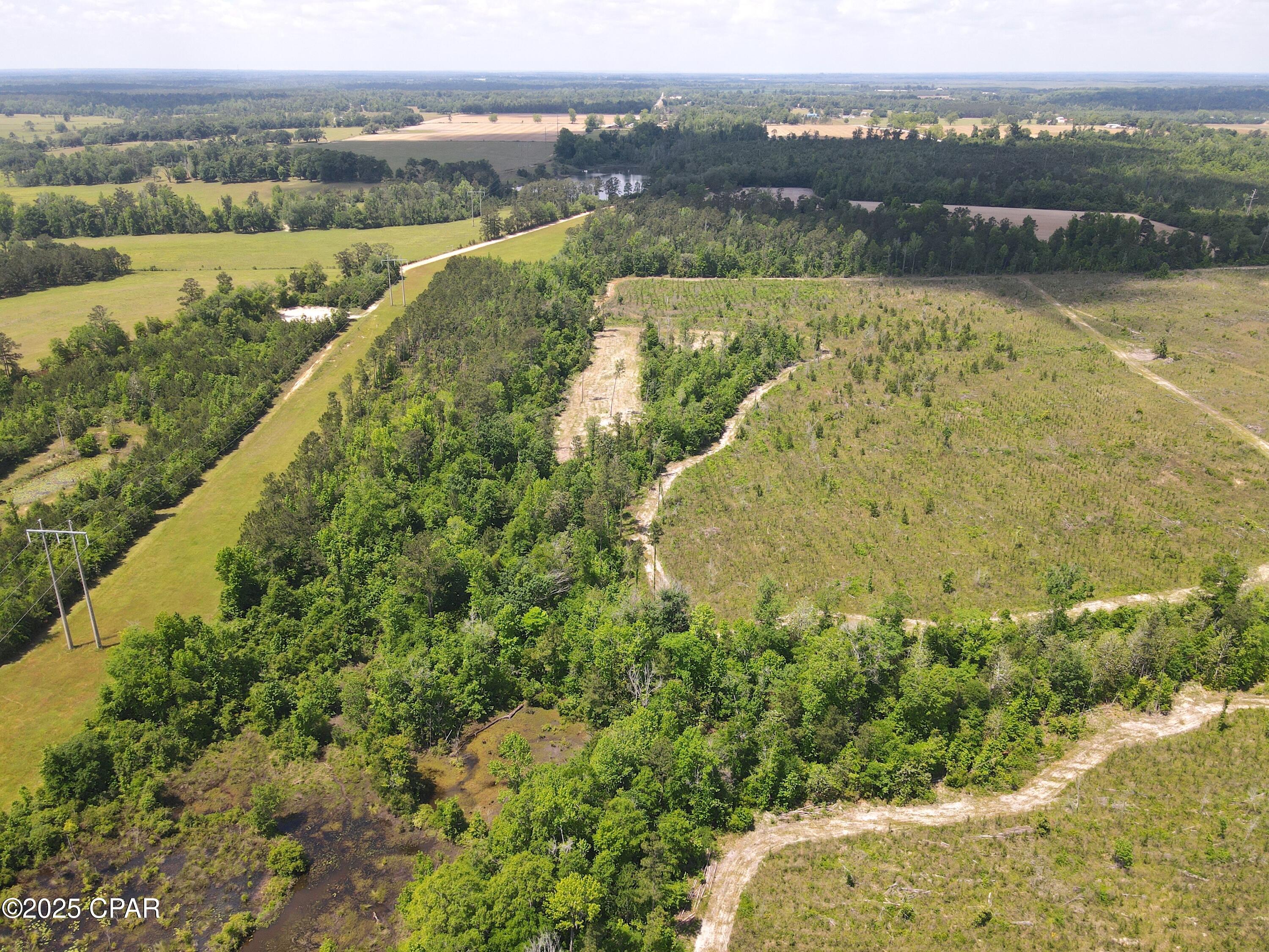 00 Sinai Road, Sneads, Florida image 27