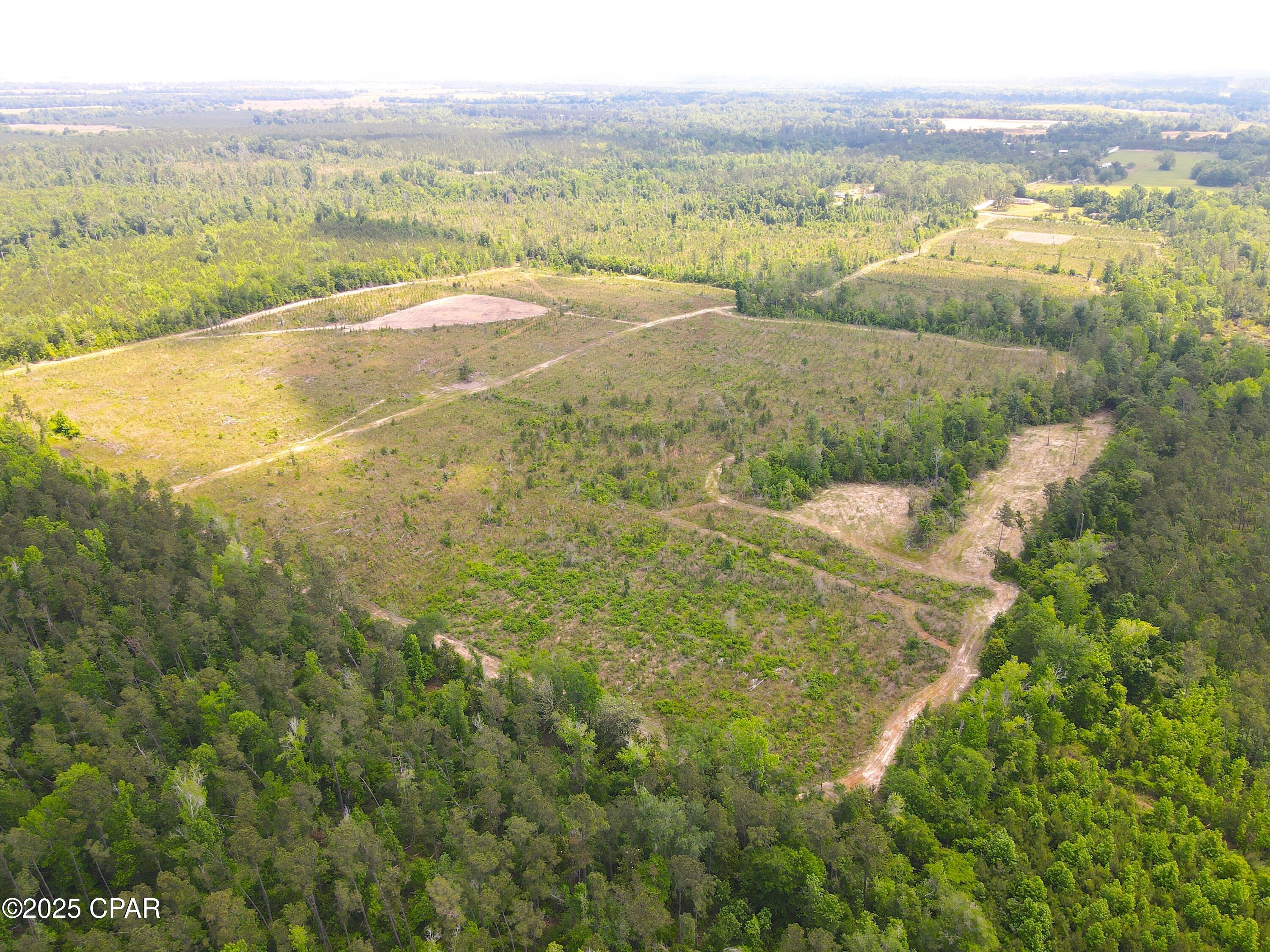 00 Sinai Road, Sneads, Florida image 36