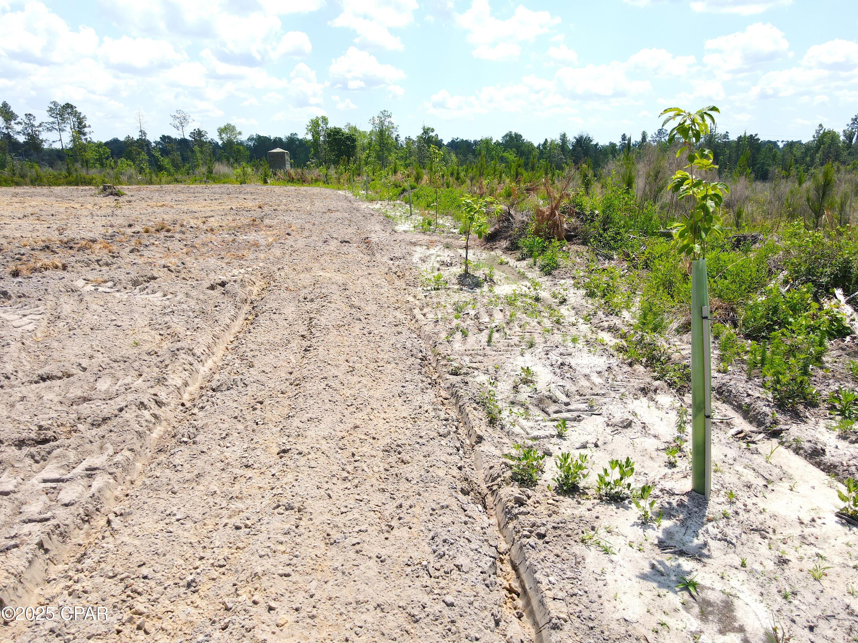 00 Sinai Road, Sneads, Florida image 39
