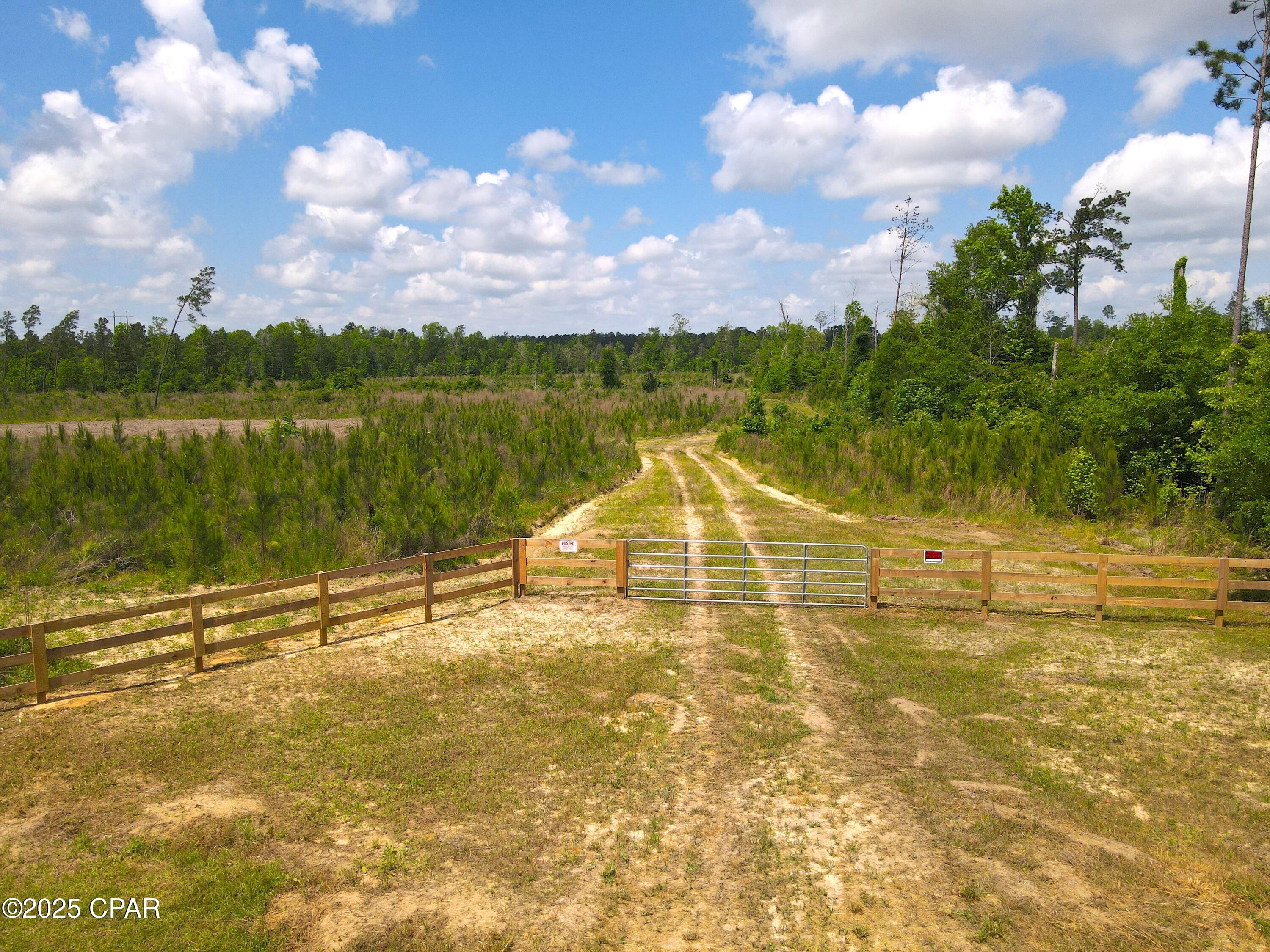 00 Sinai Road, Sneads, Florida image 4