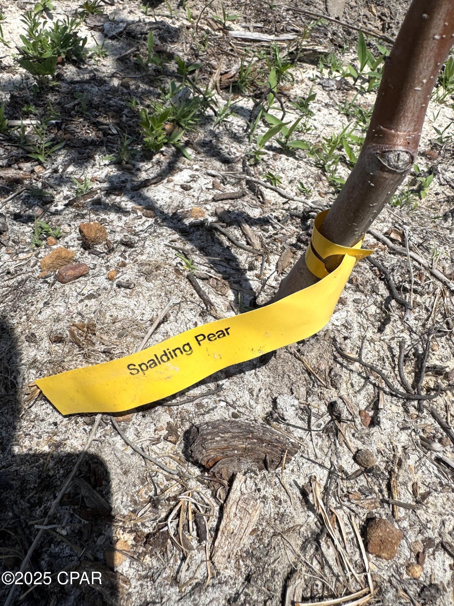 00 Sinai Road, Sneads, Florida image 43