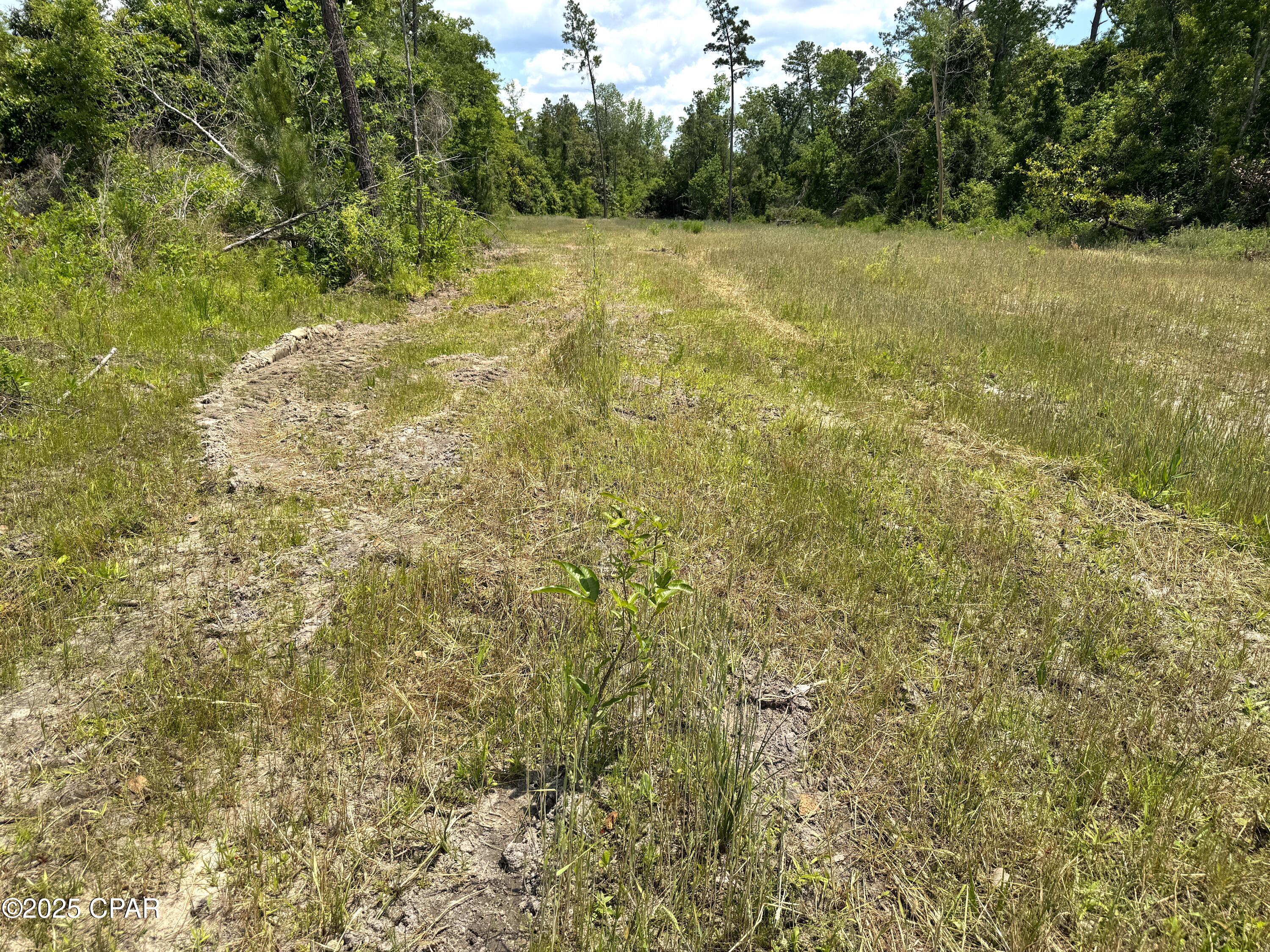 00 Sinai Road, Sneads, Florida image 46