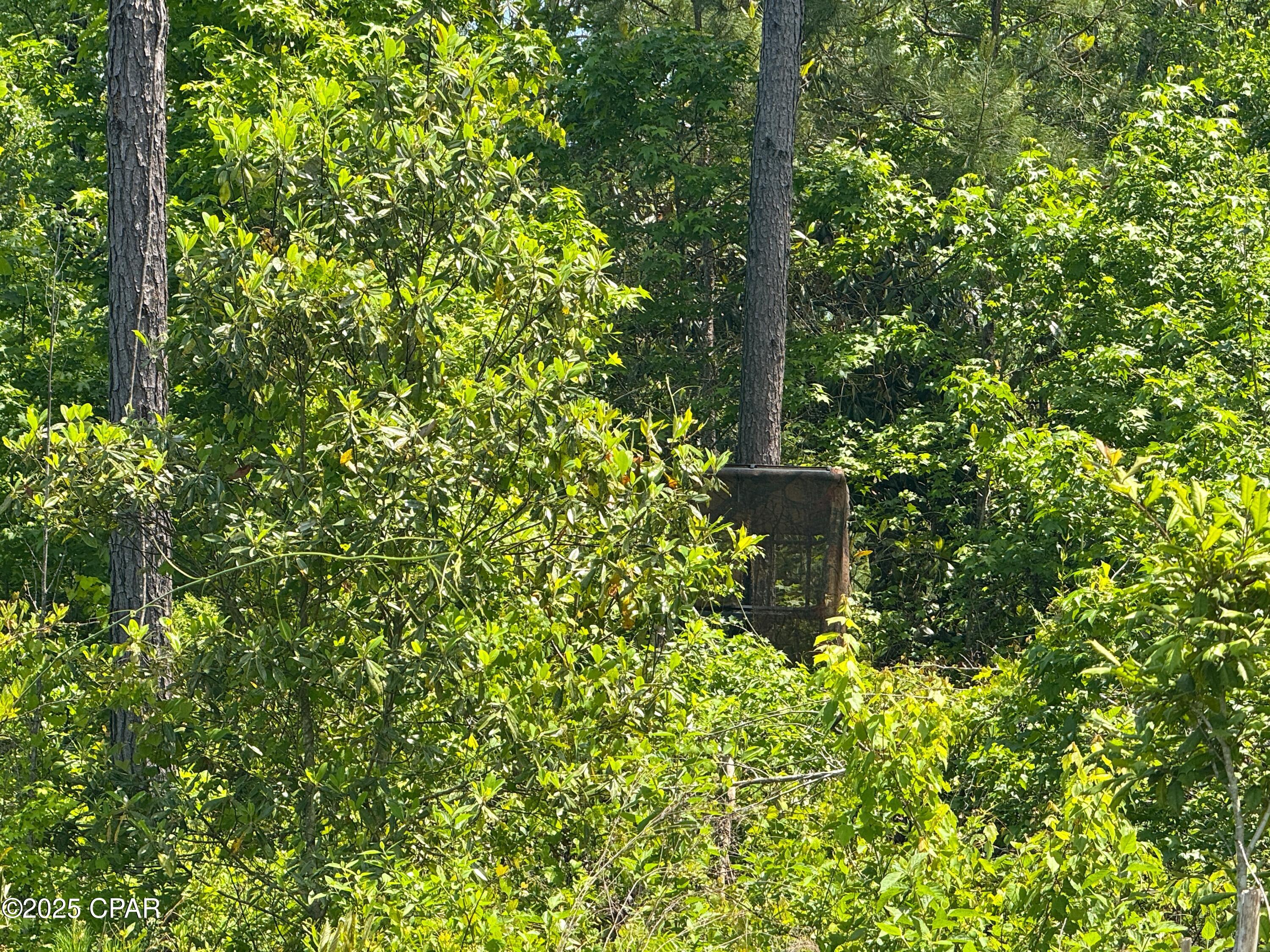 00 Sinai Road, Sneads, Florida image 49