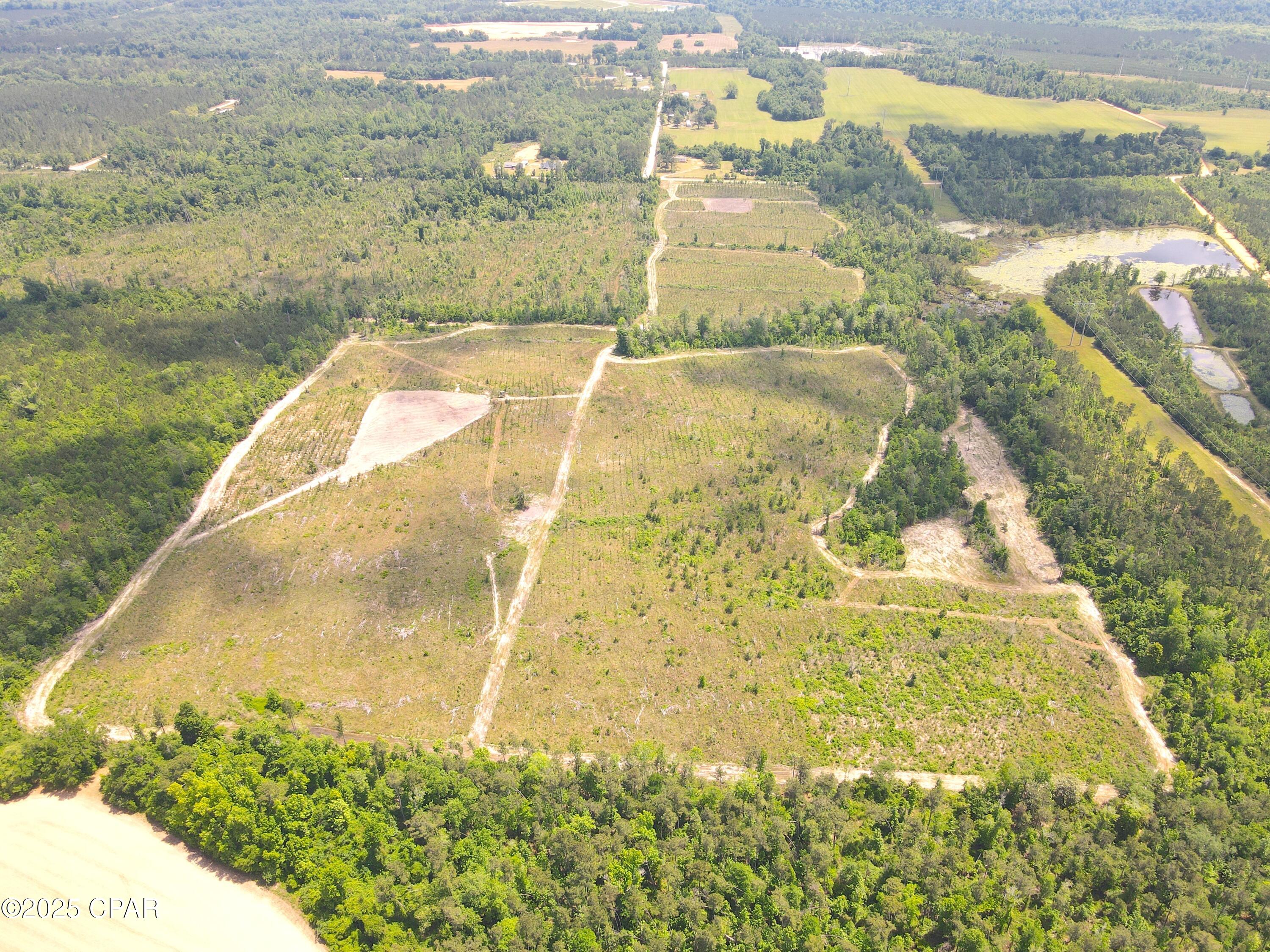 00 Sinai Road, Sneads, Florida image 7