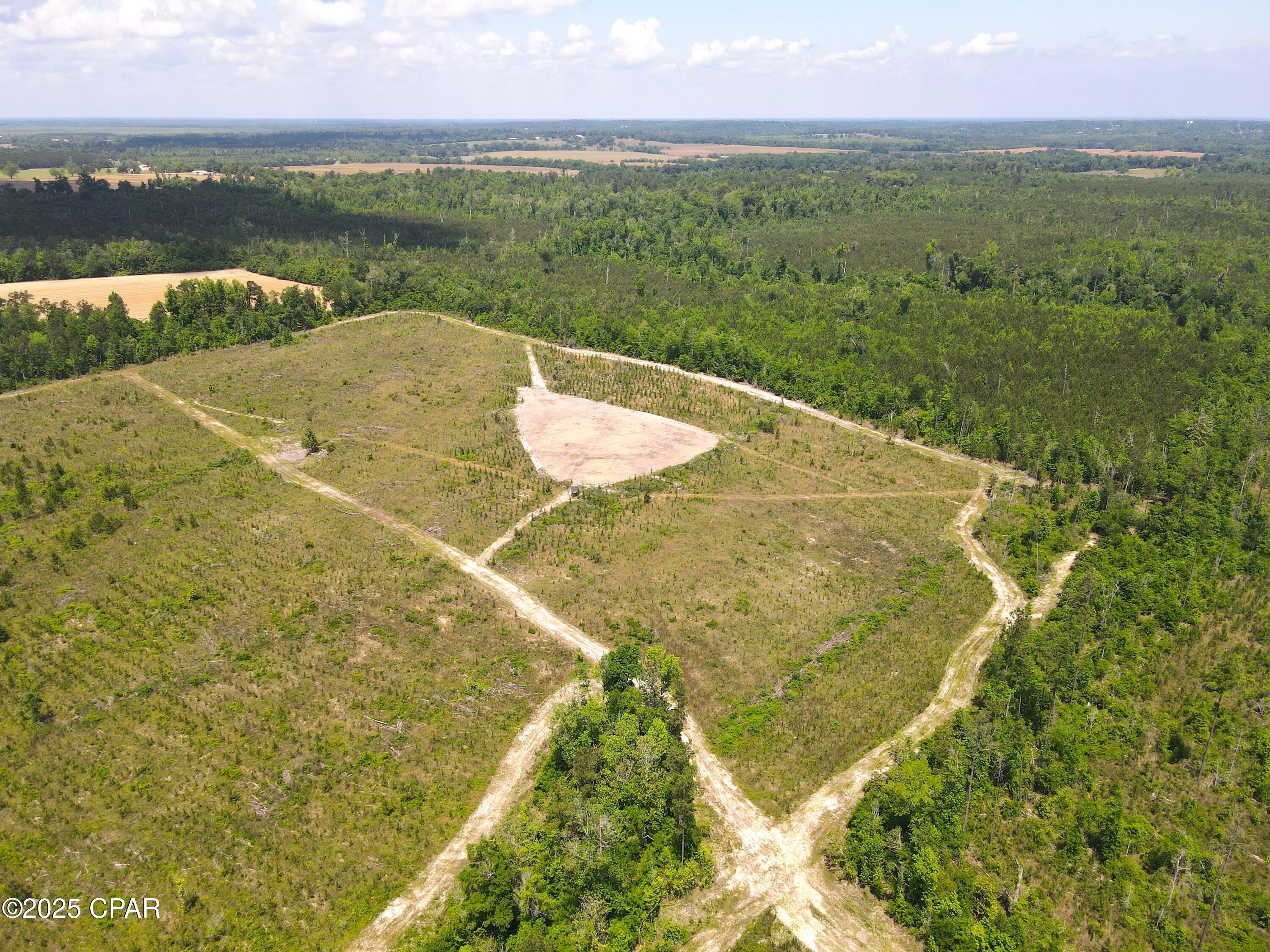 00 Sinai Road, Sneads, Florida image 8